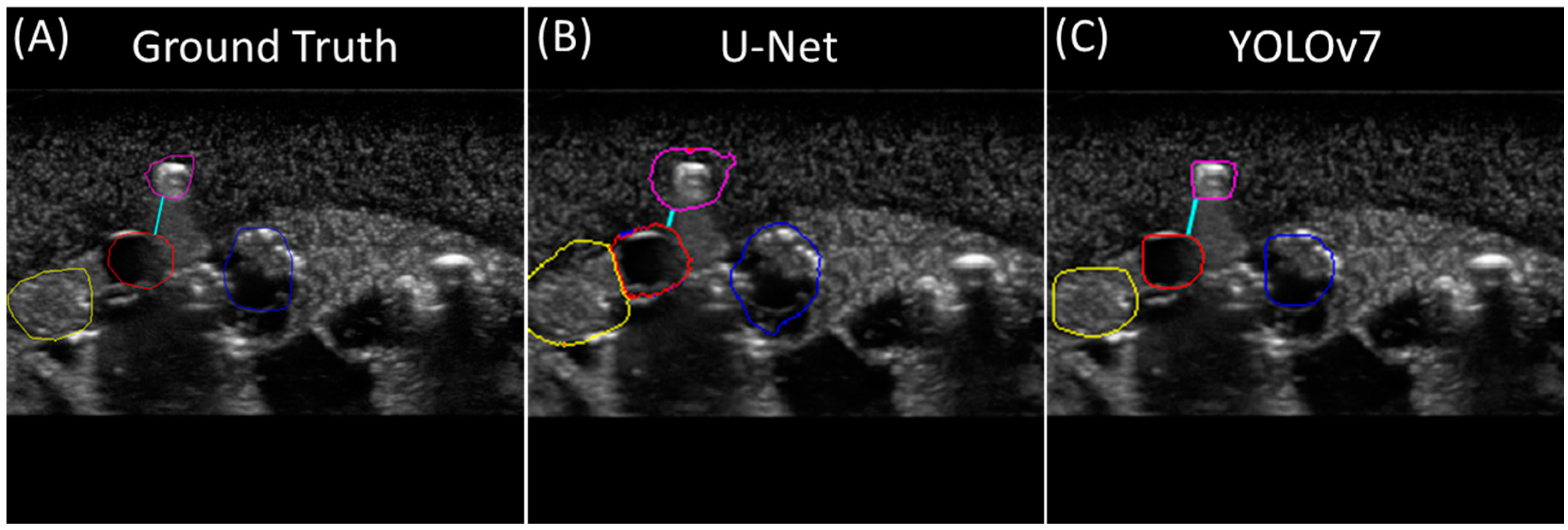 Bioengineering 11 00128 g006