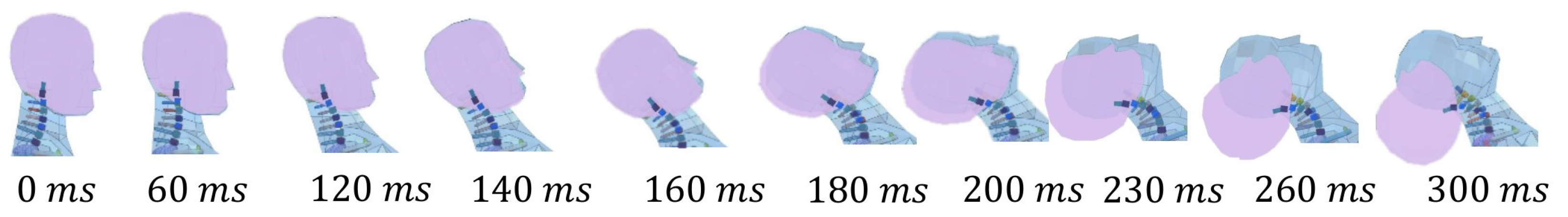 Bioengineering 11 00129 g004