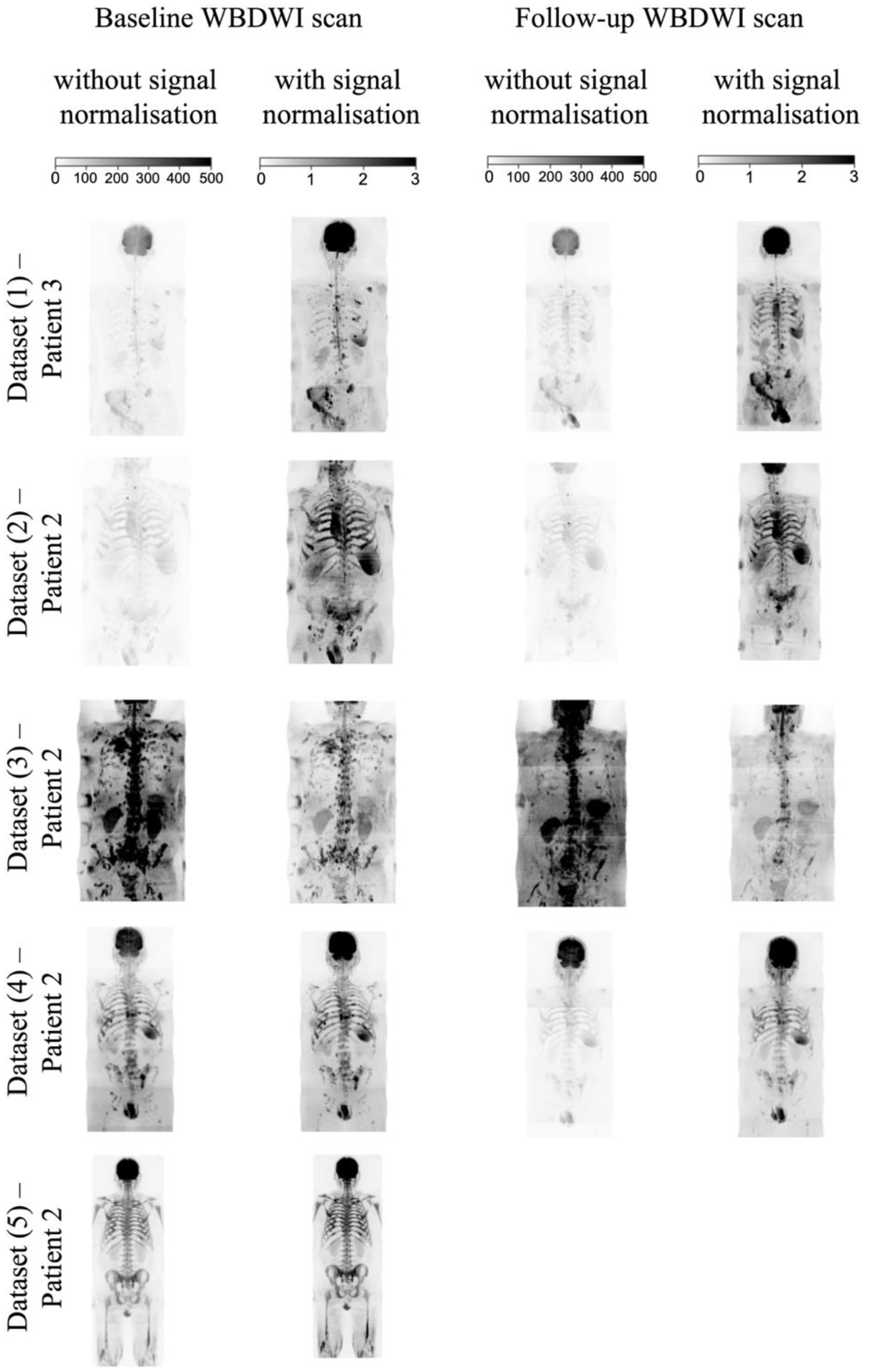 Bioengineering 11 00130 g006 Bioengineering 11 00130 g006