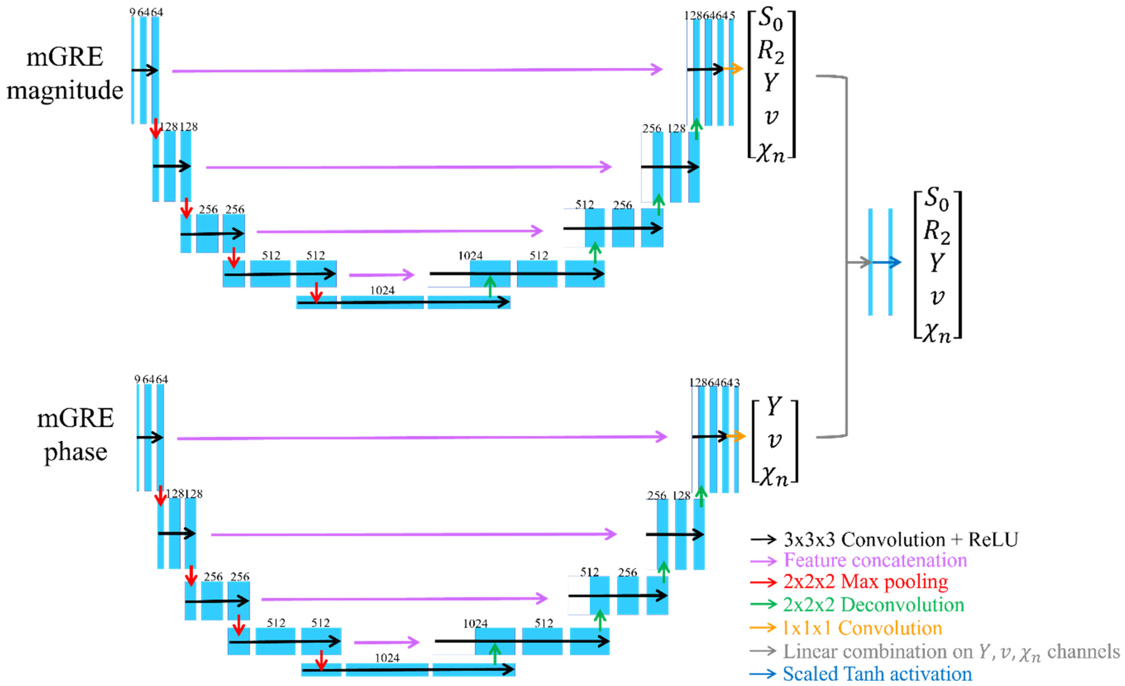 Bioengineering 11 00131 g001