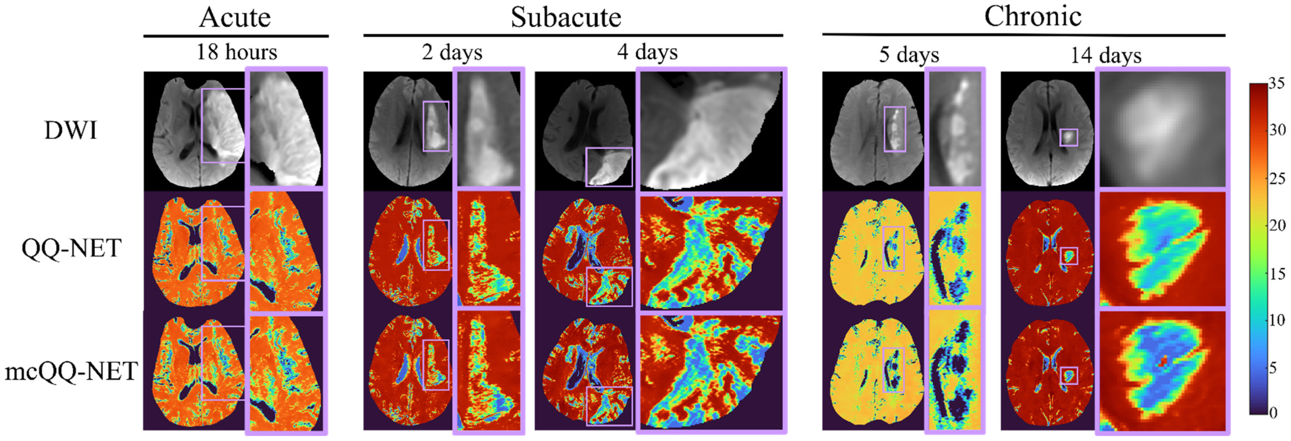 Bioengineering 11 00131 g003