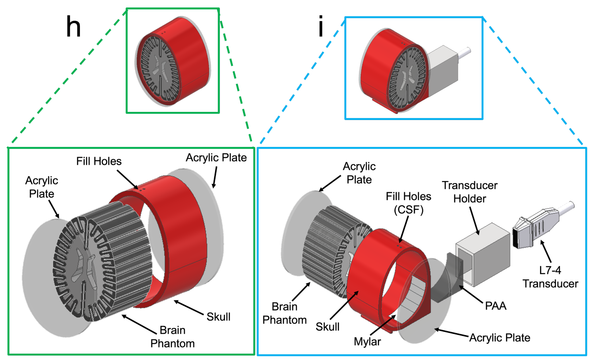 Bioengineering 11 00132 g001b