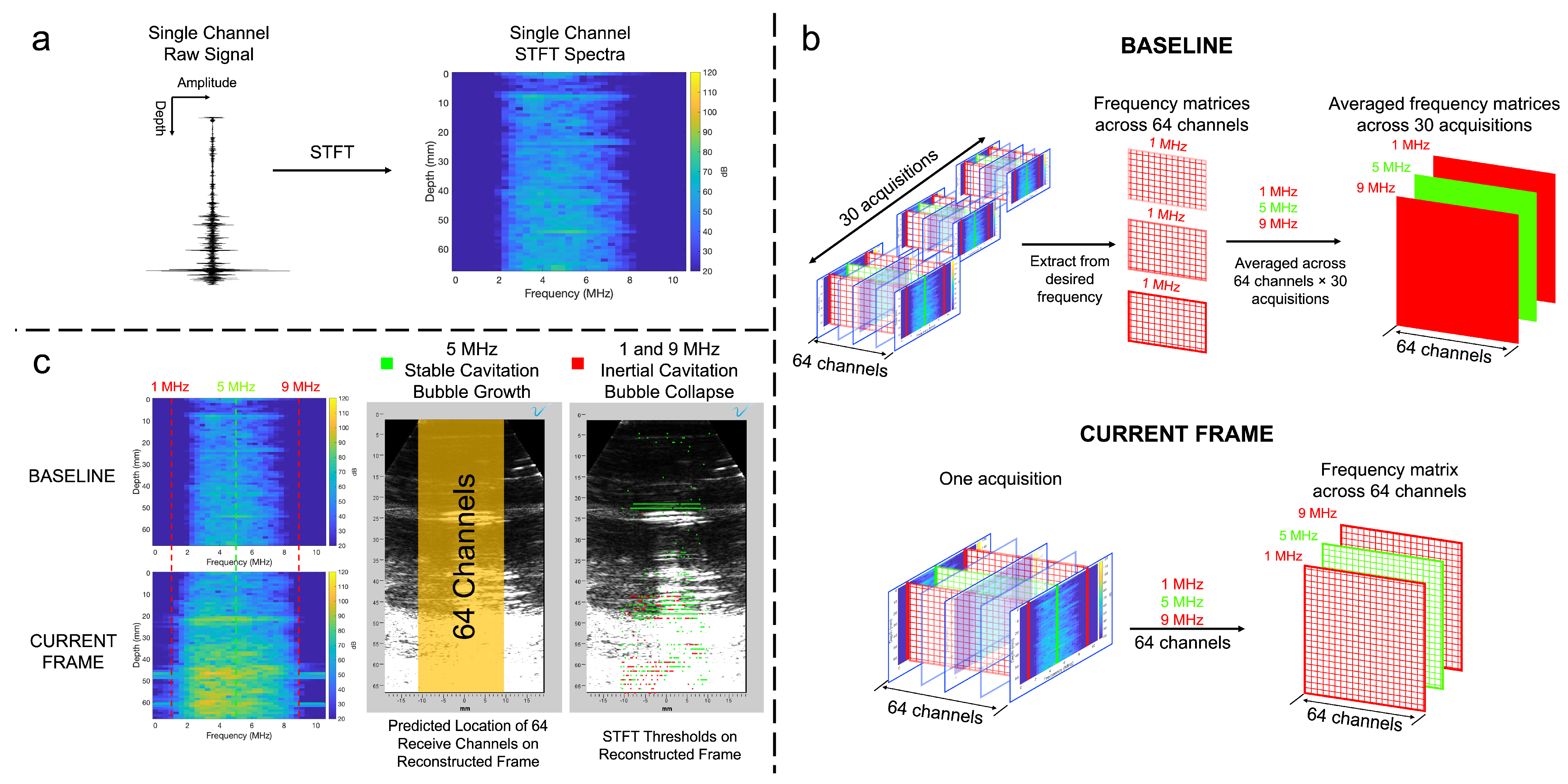 Bioengineering 11 00132 g003