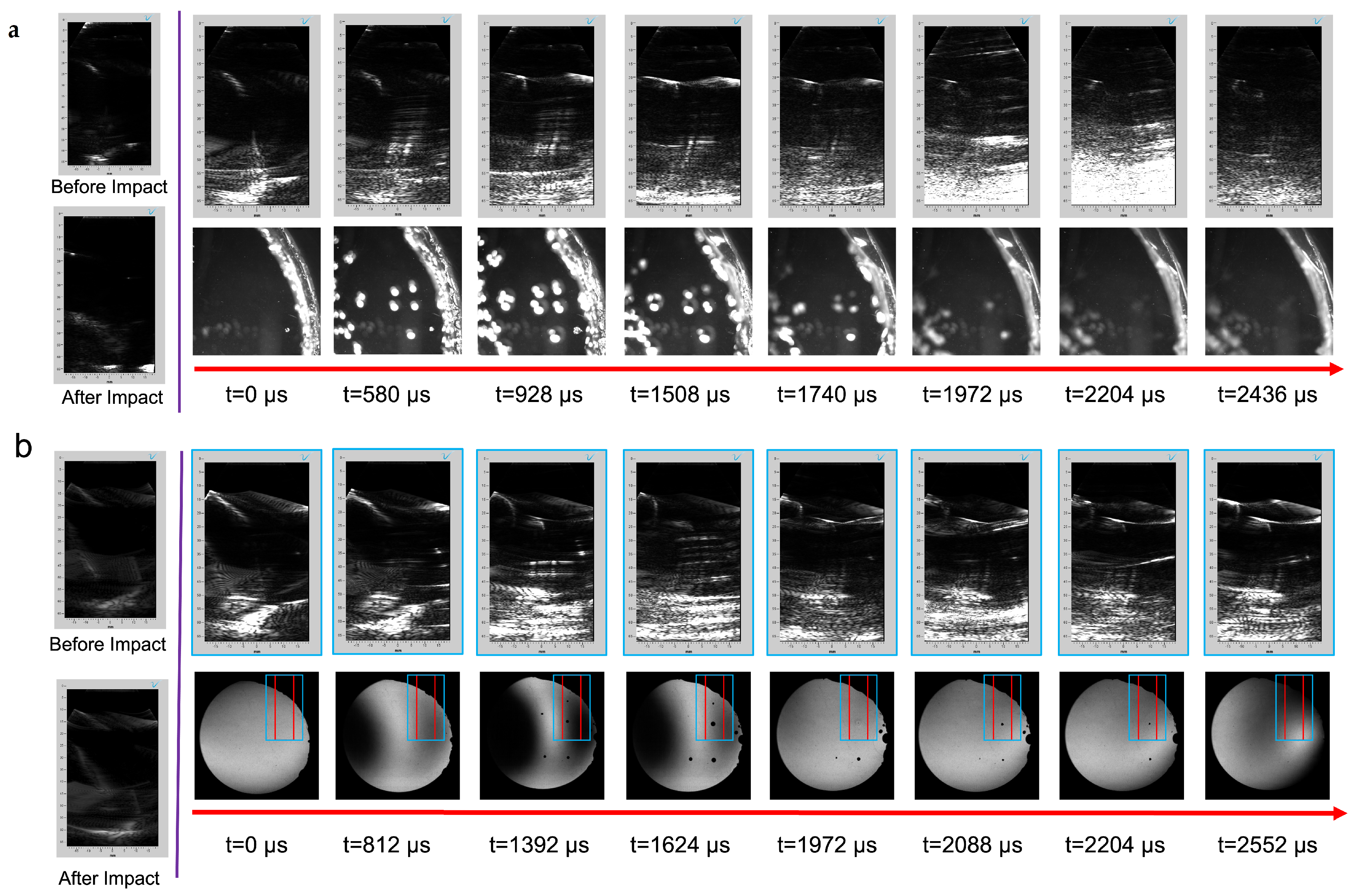 Bioengineering 11 00132 g005