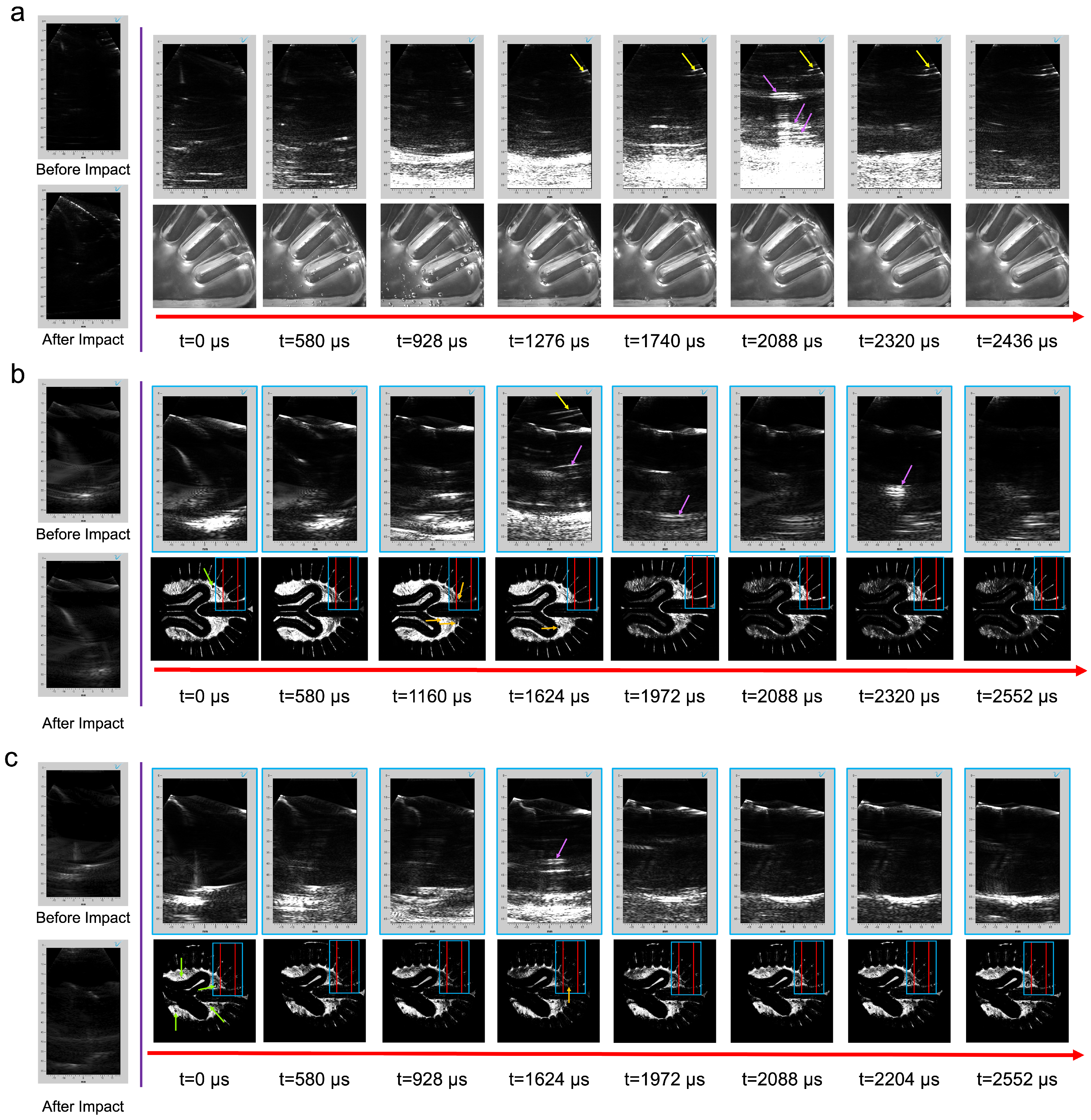 Bioengineering 11 00132 g006
