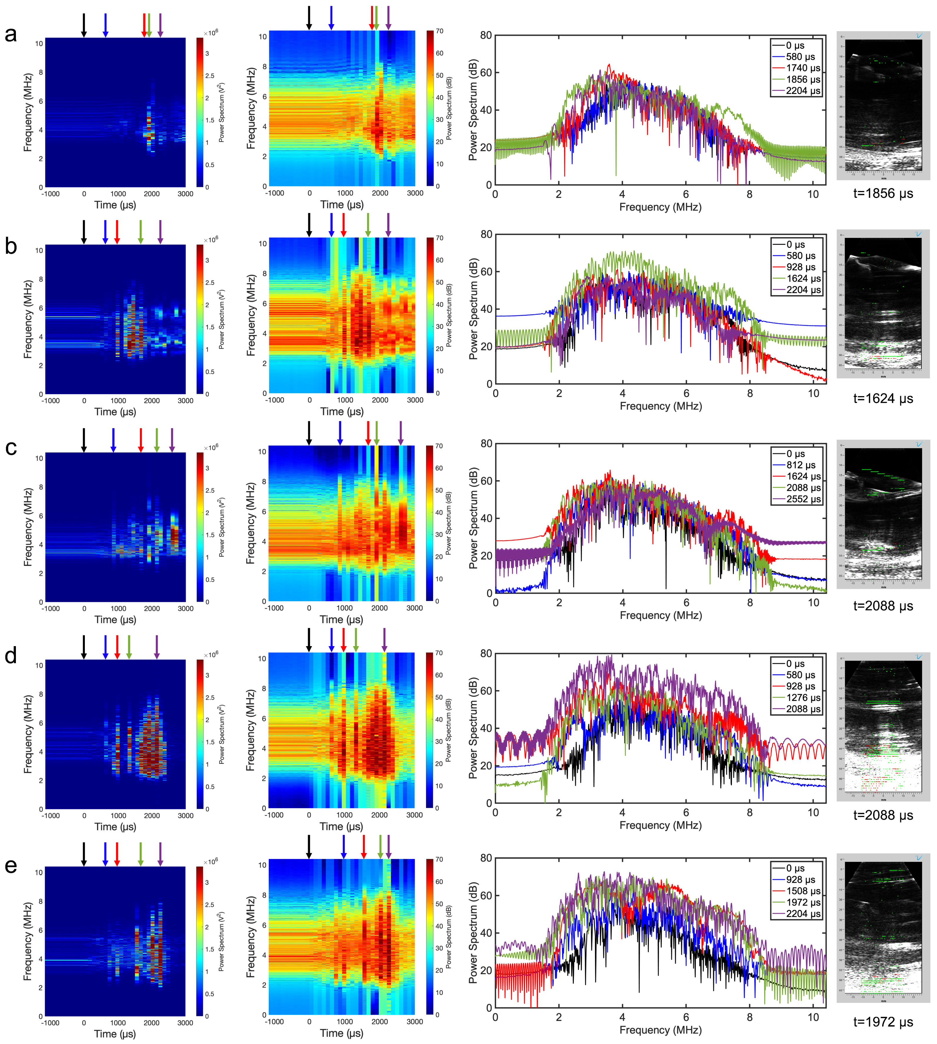Bioengineering 11 00132 g007
