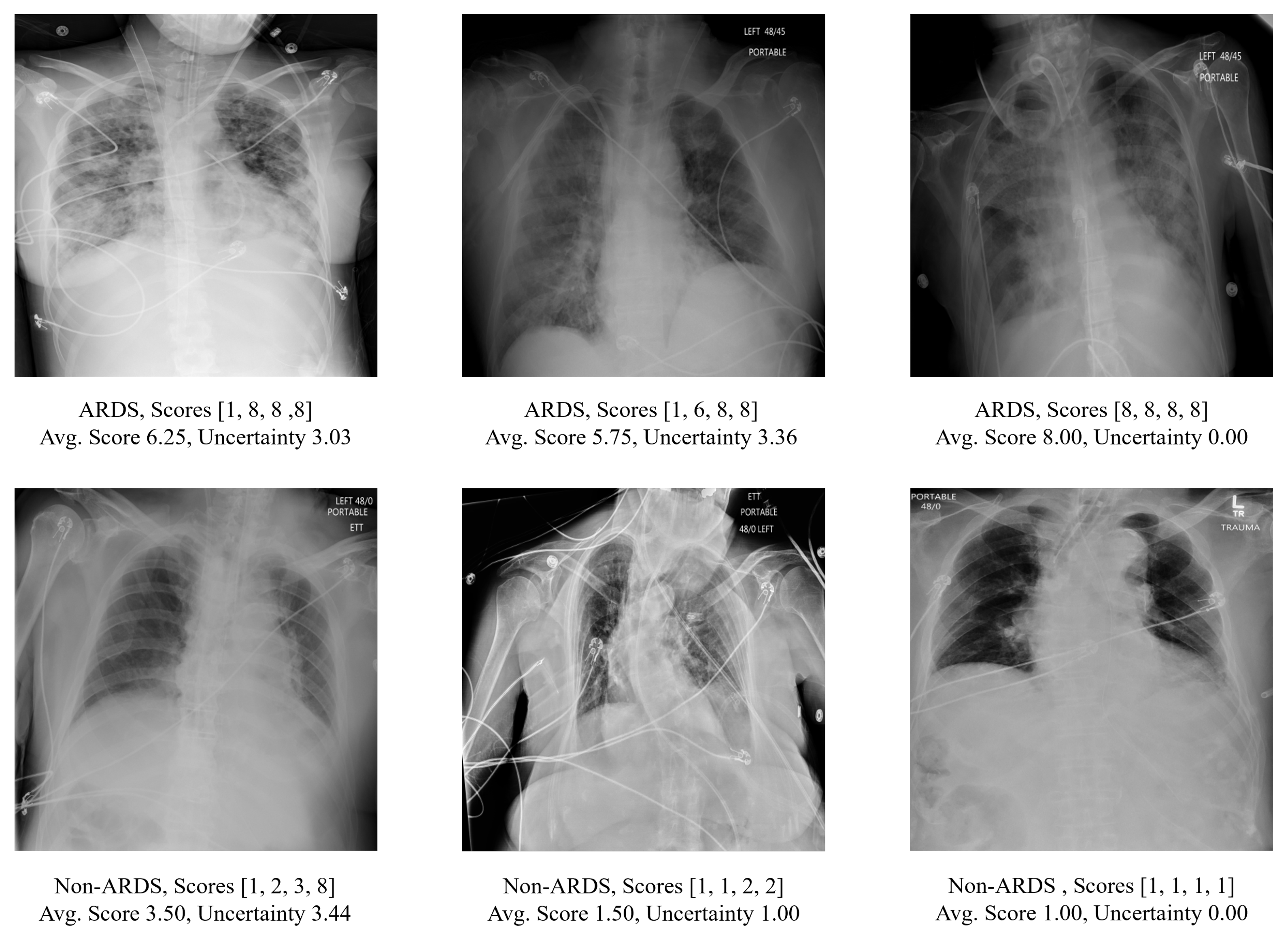 Bioengineering 11 00133 g001