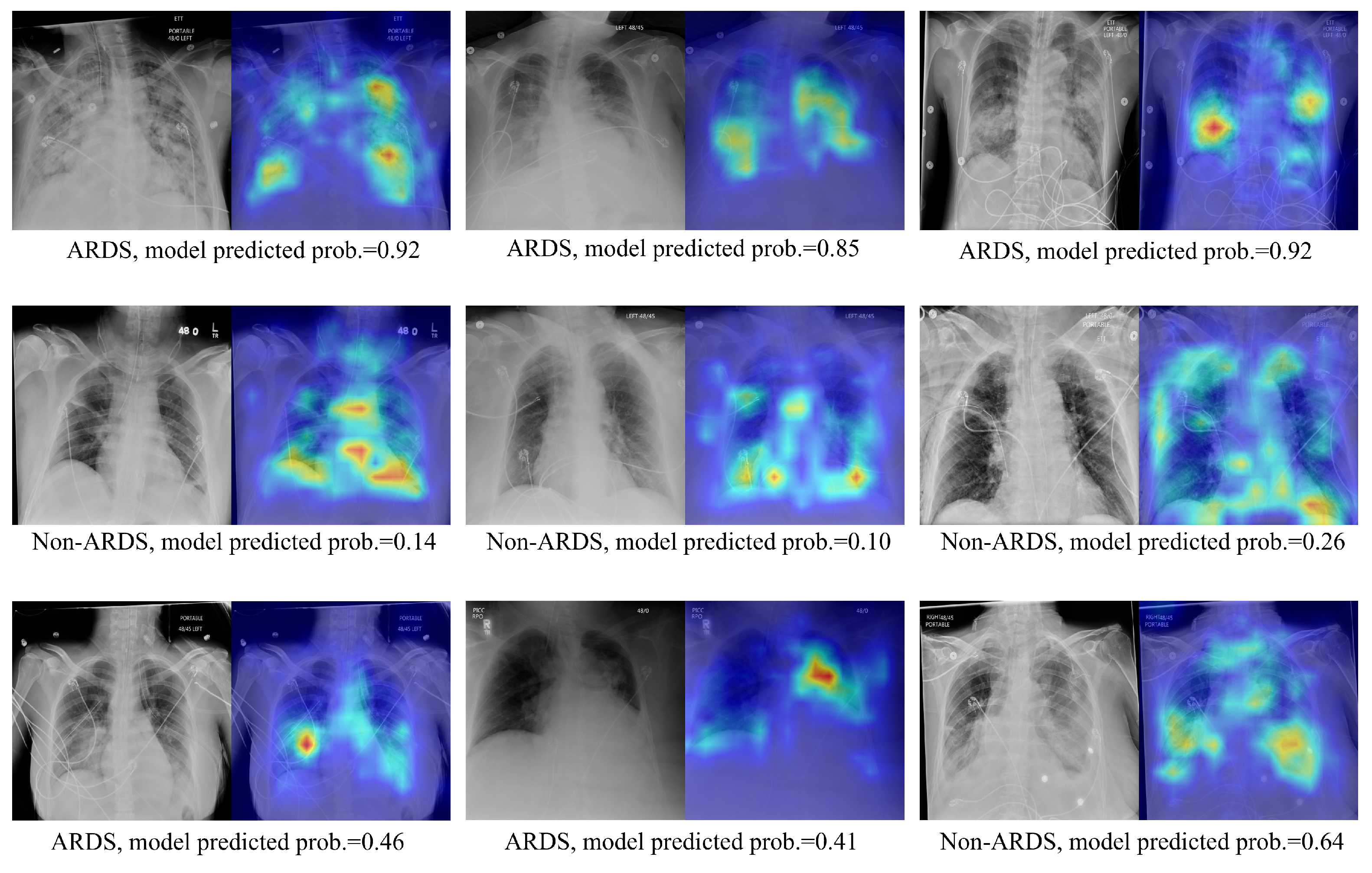 Bioengineering 11 00133 g005