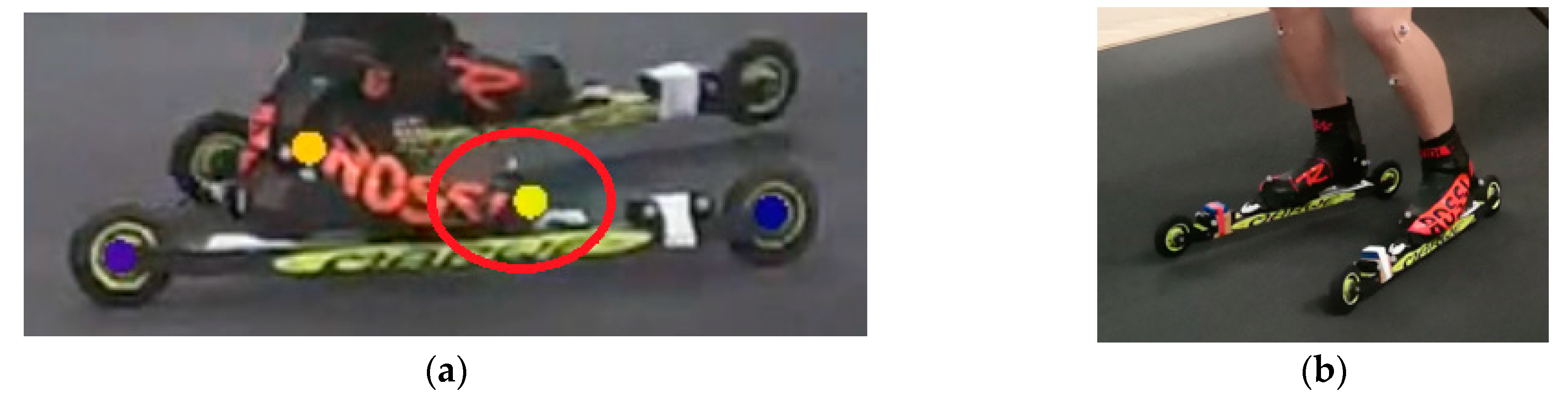 Bioengineering 11 00136 g004 Bioengineering 11 00136 g004