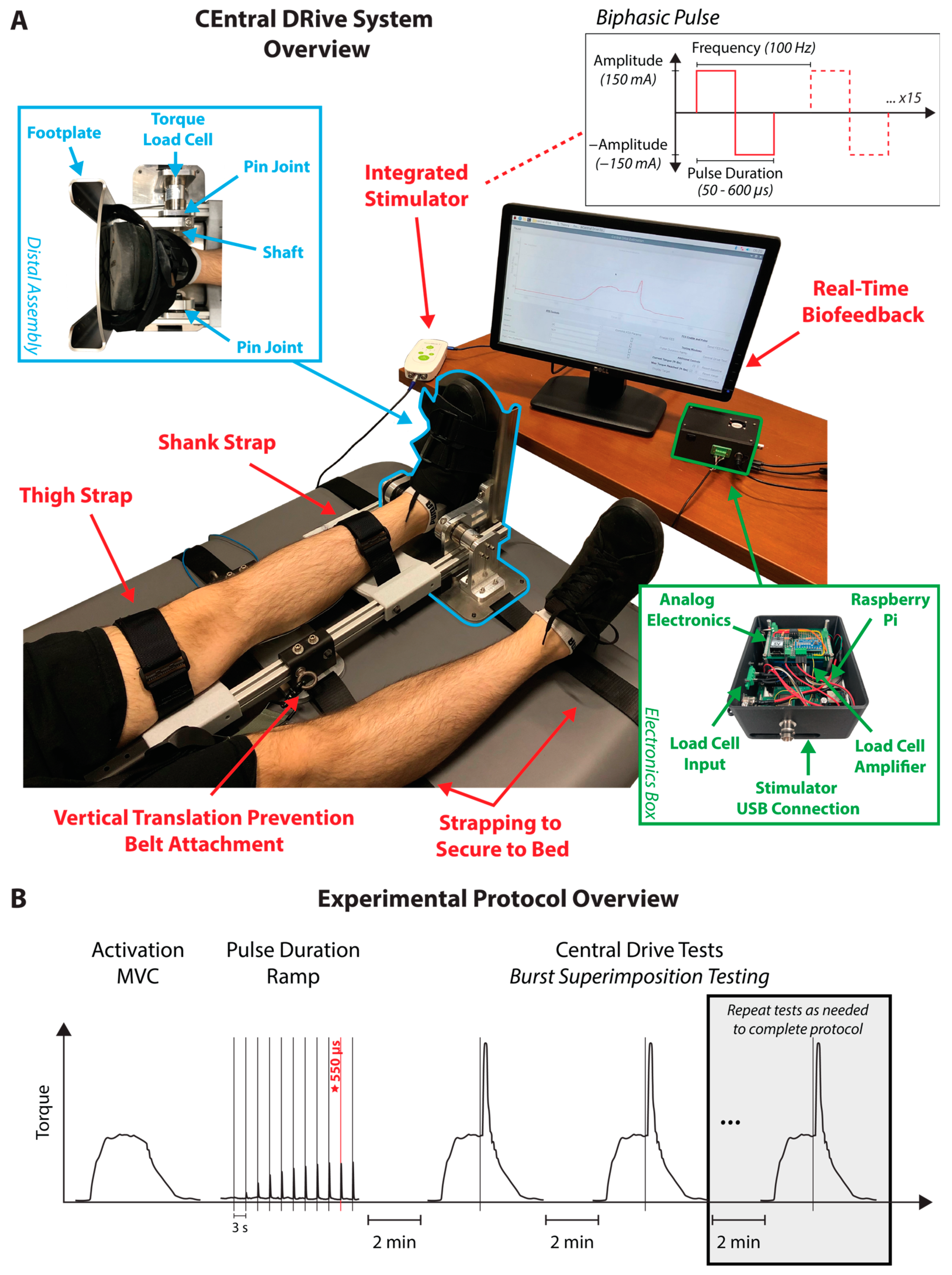 Bioengineering 11 00137 g001