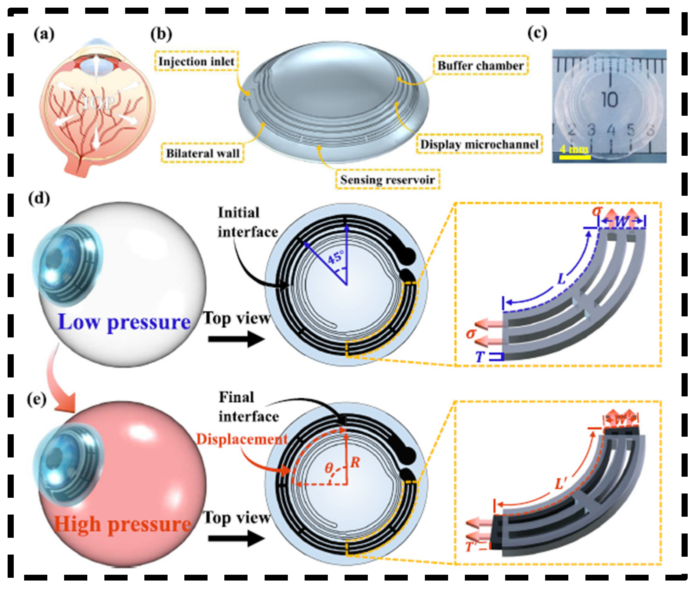 Bioengineering 11 00138 g005 Bioengineering 11 00138 g005
