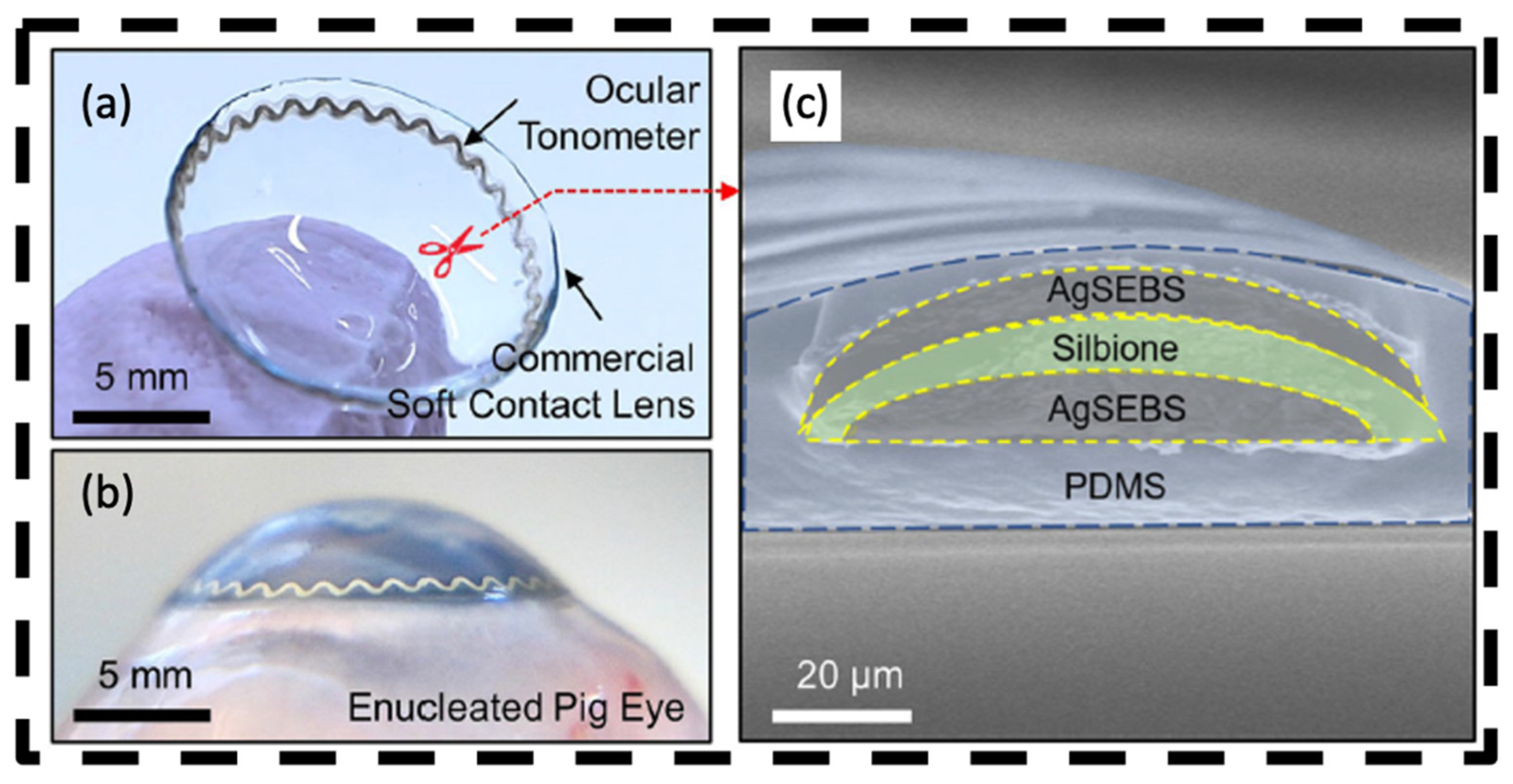 Bioengineering 11 00138 g006 Bioengineering 11 00138 g006