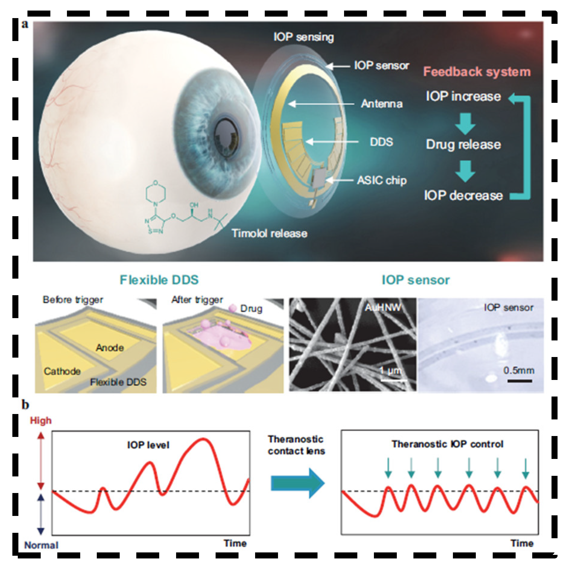 Bioengineering 11 00138 g009 Bioengineering 11 00138 g009