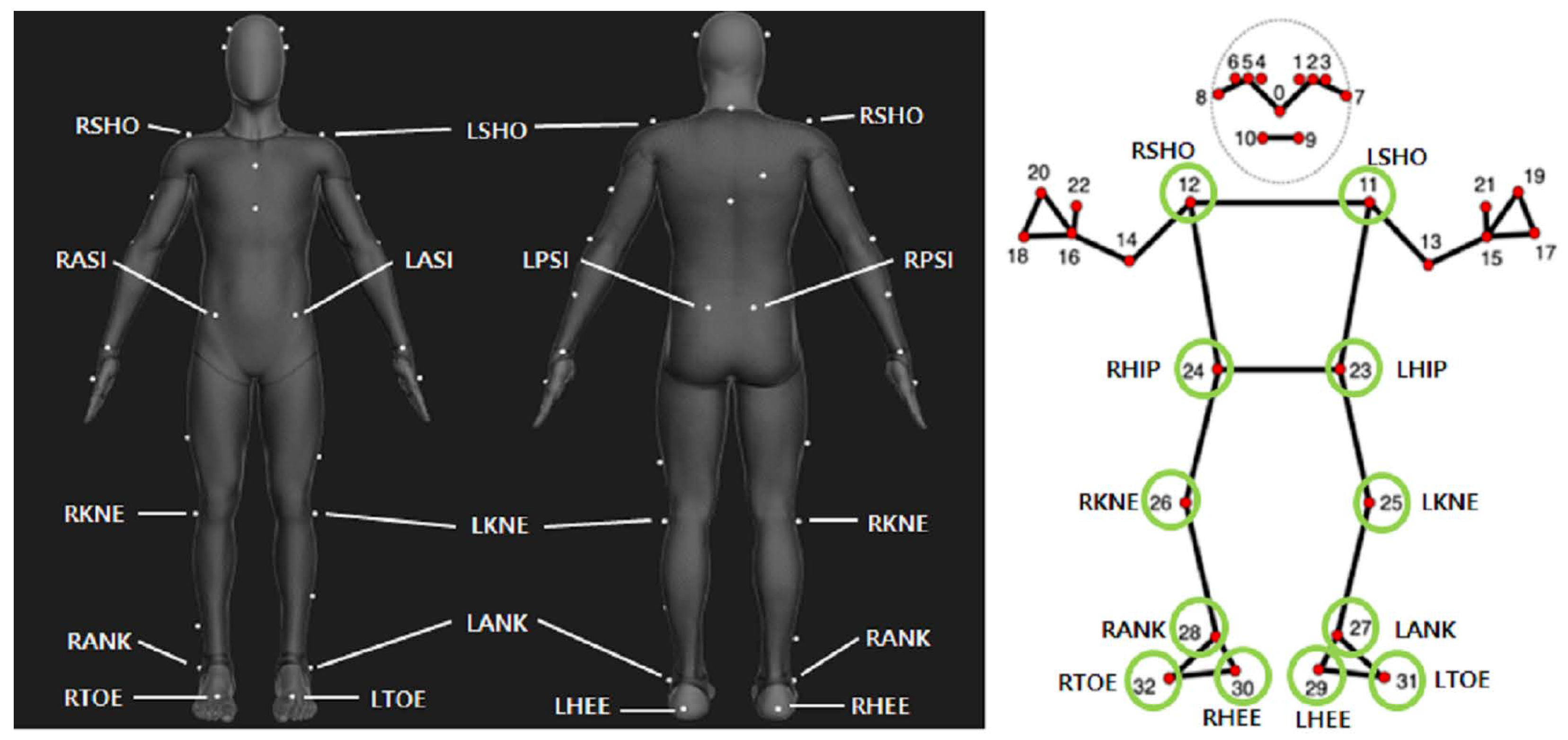 Bioengineering 11 00141 g002