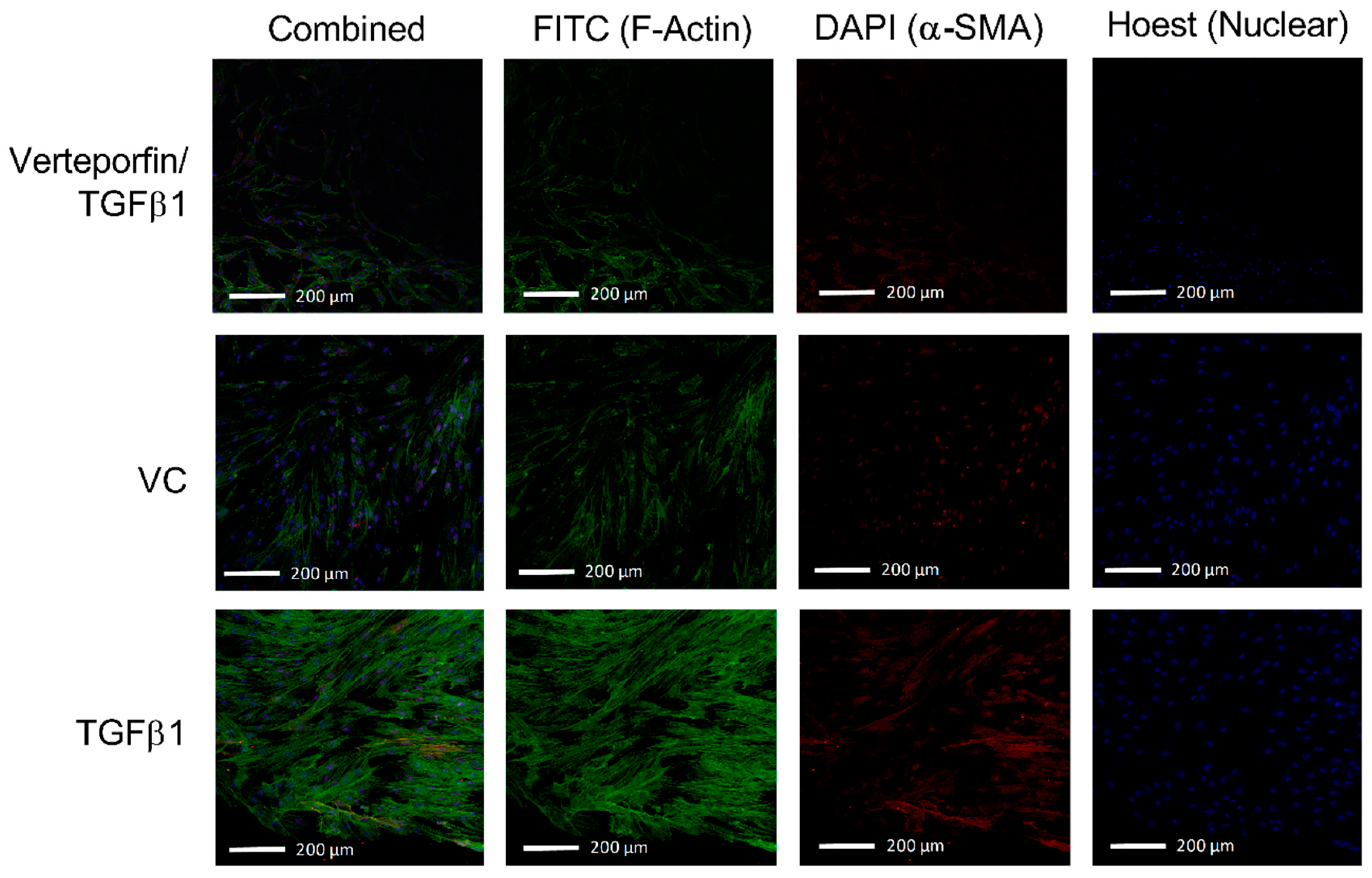 Bioengineering 11 00142 g005