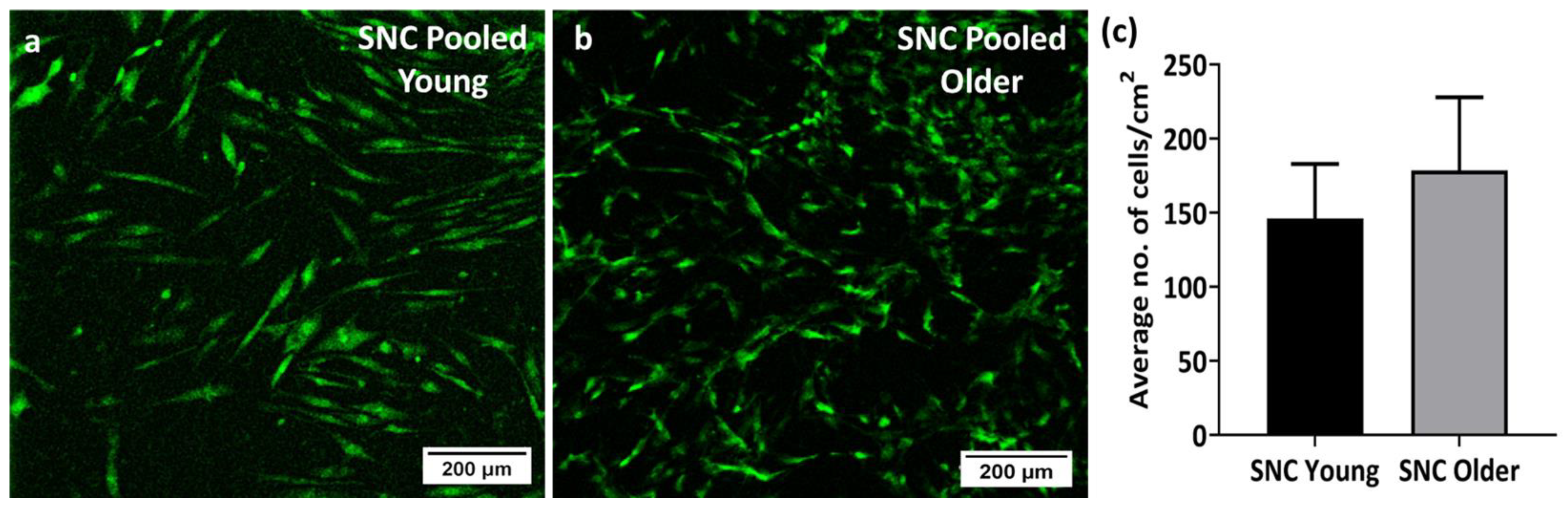 Bioengineering 11 00143 g005