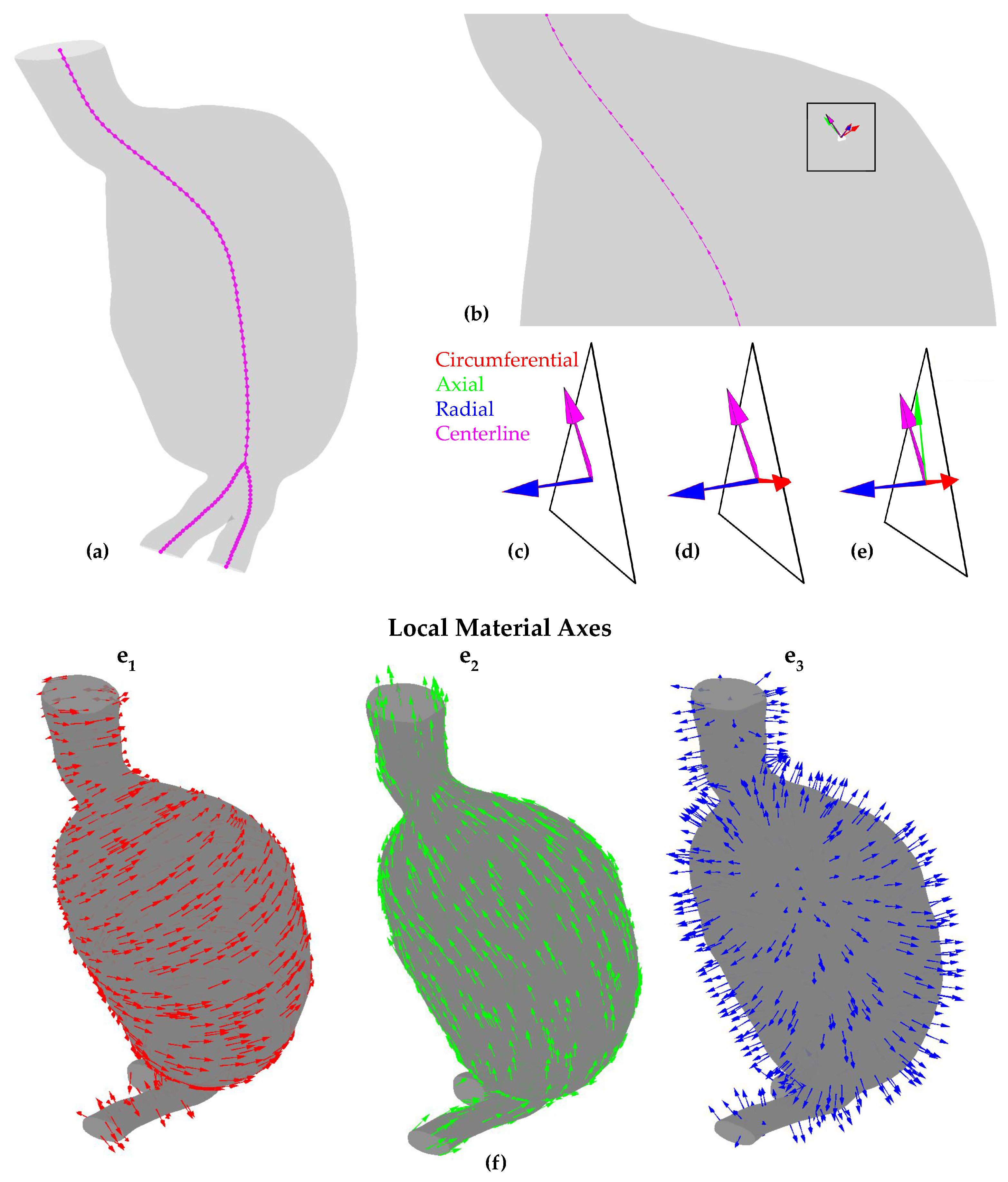 Bioengineering 11 00144 g004