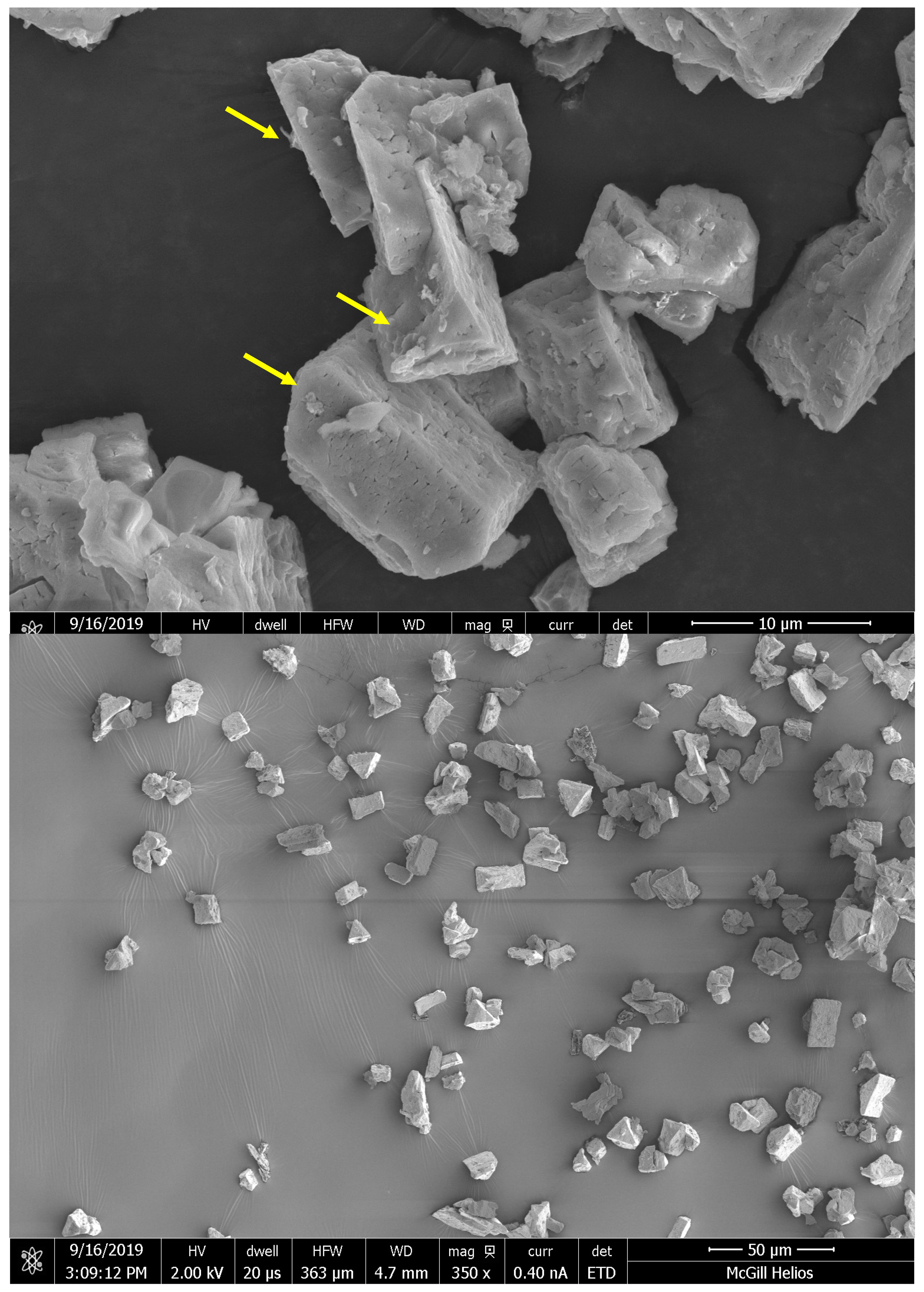 Bioengineering 11 00145 g007