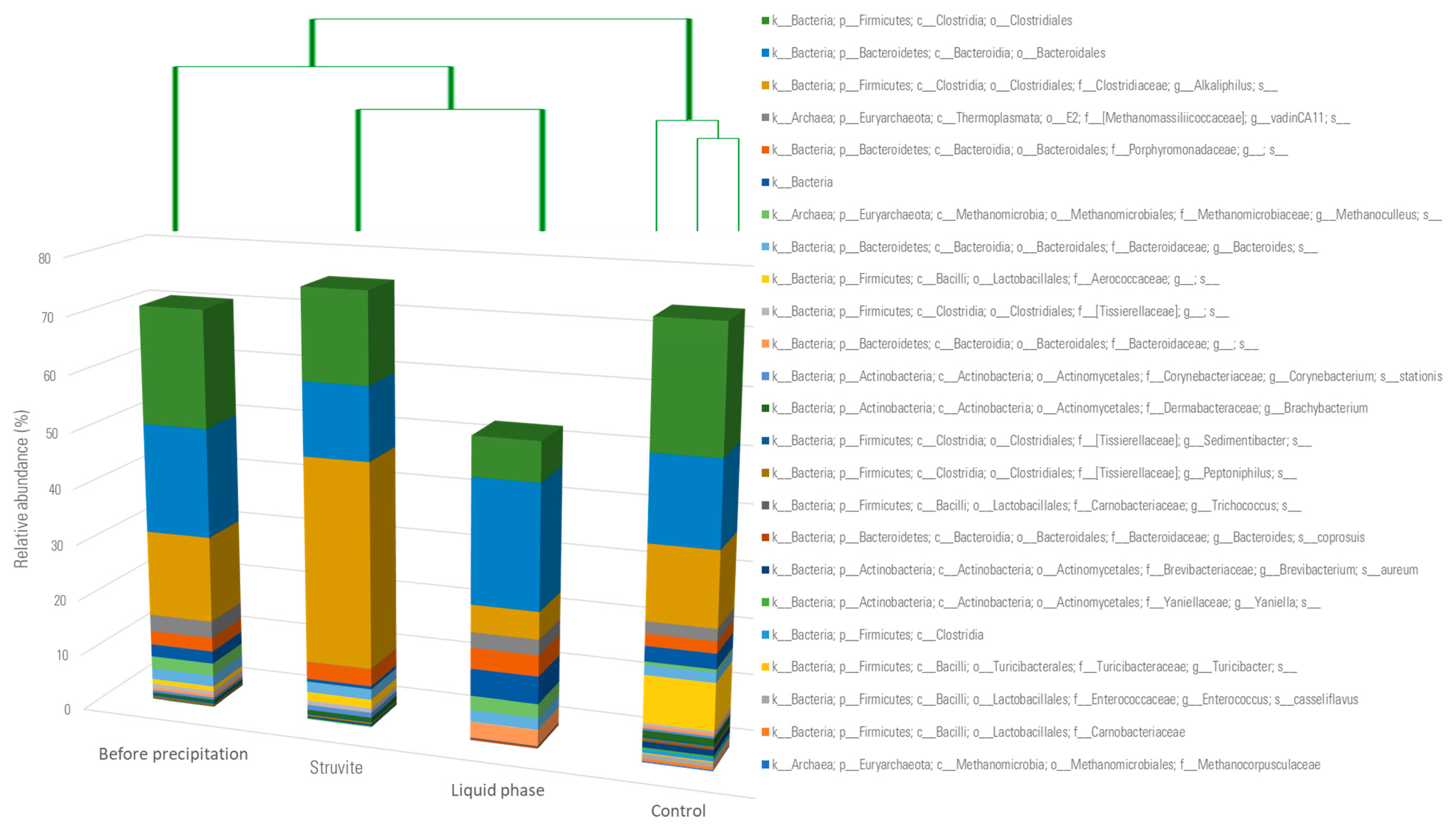 Bioengineering 11 00145 g010