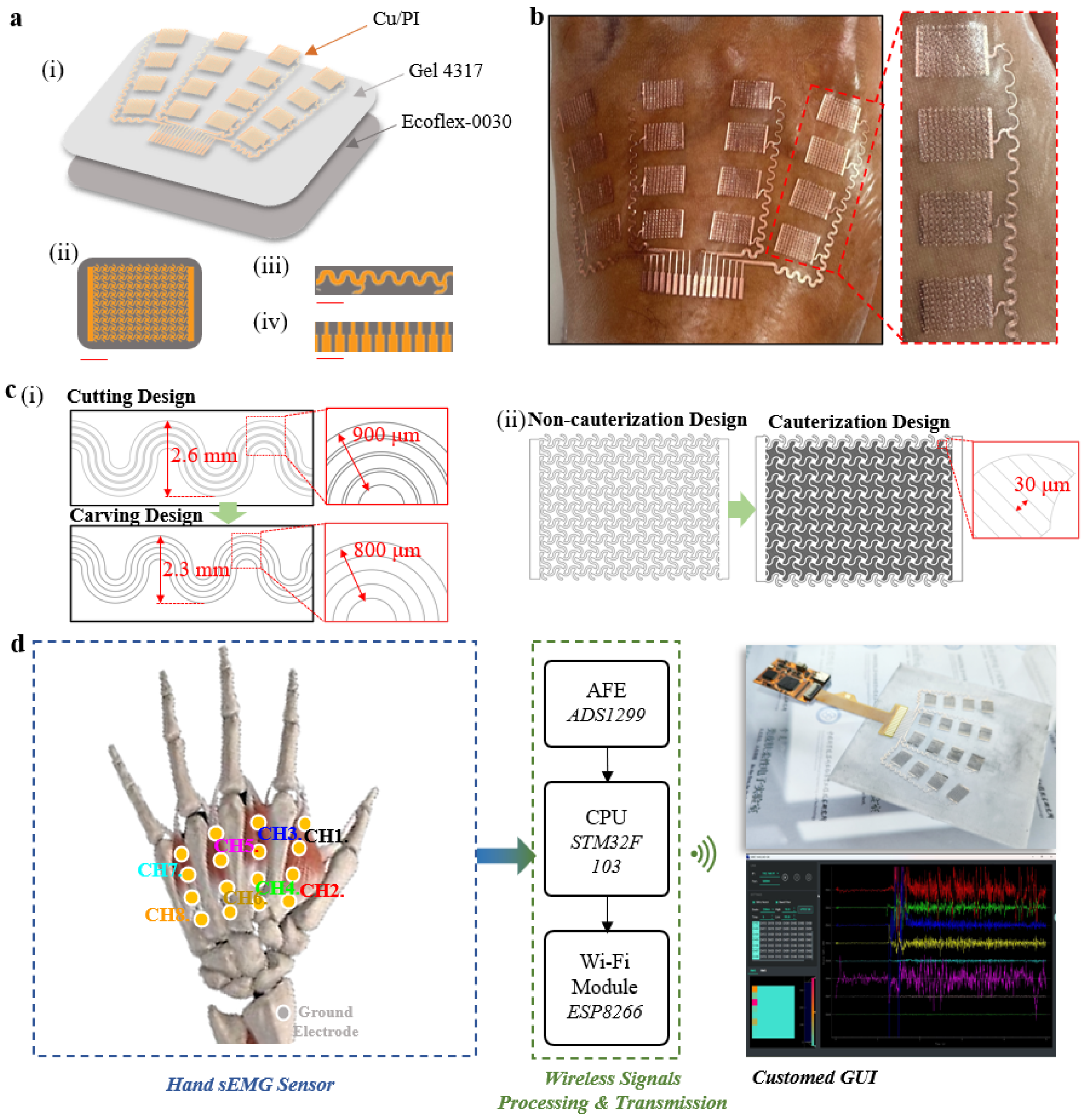 Bioengineering 11 00146 g001