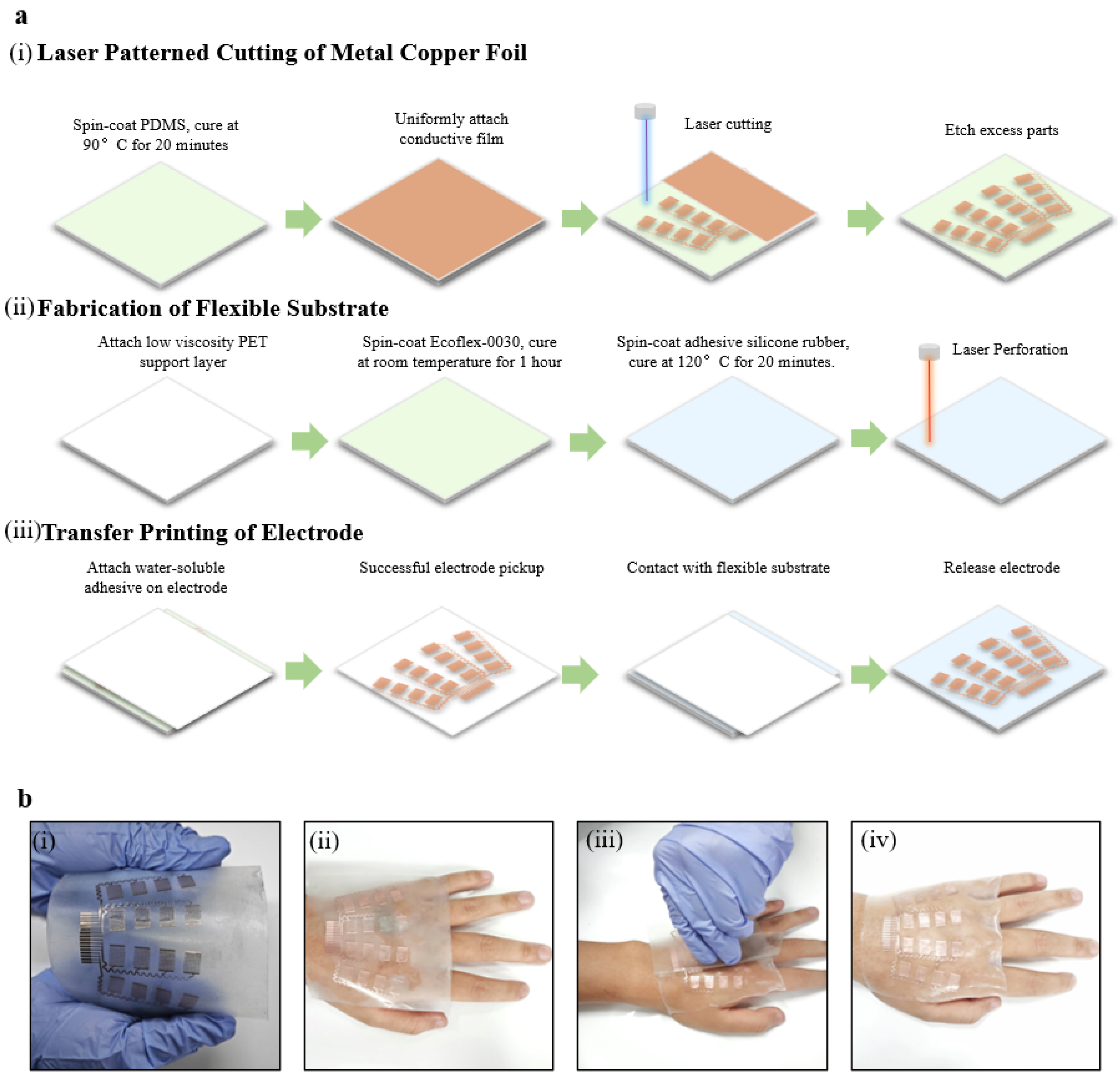 Bioengineering 11 00146 g002