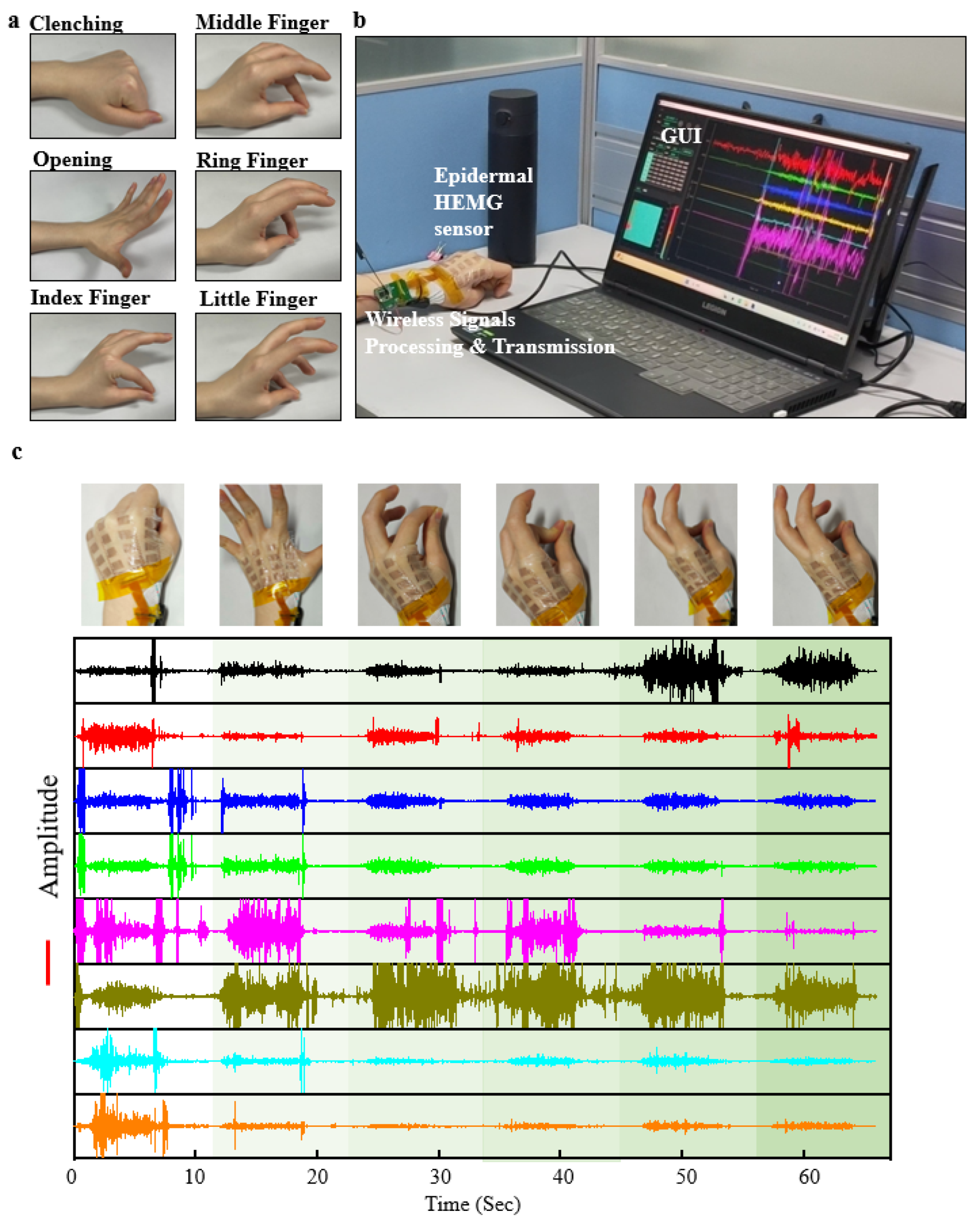 Bioengineering 11 00146 g004