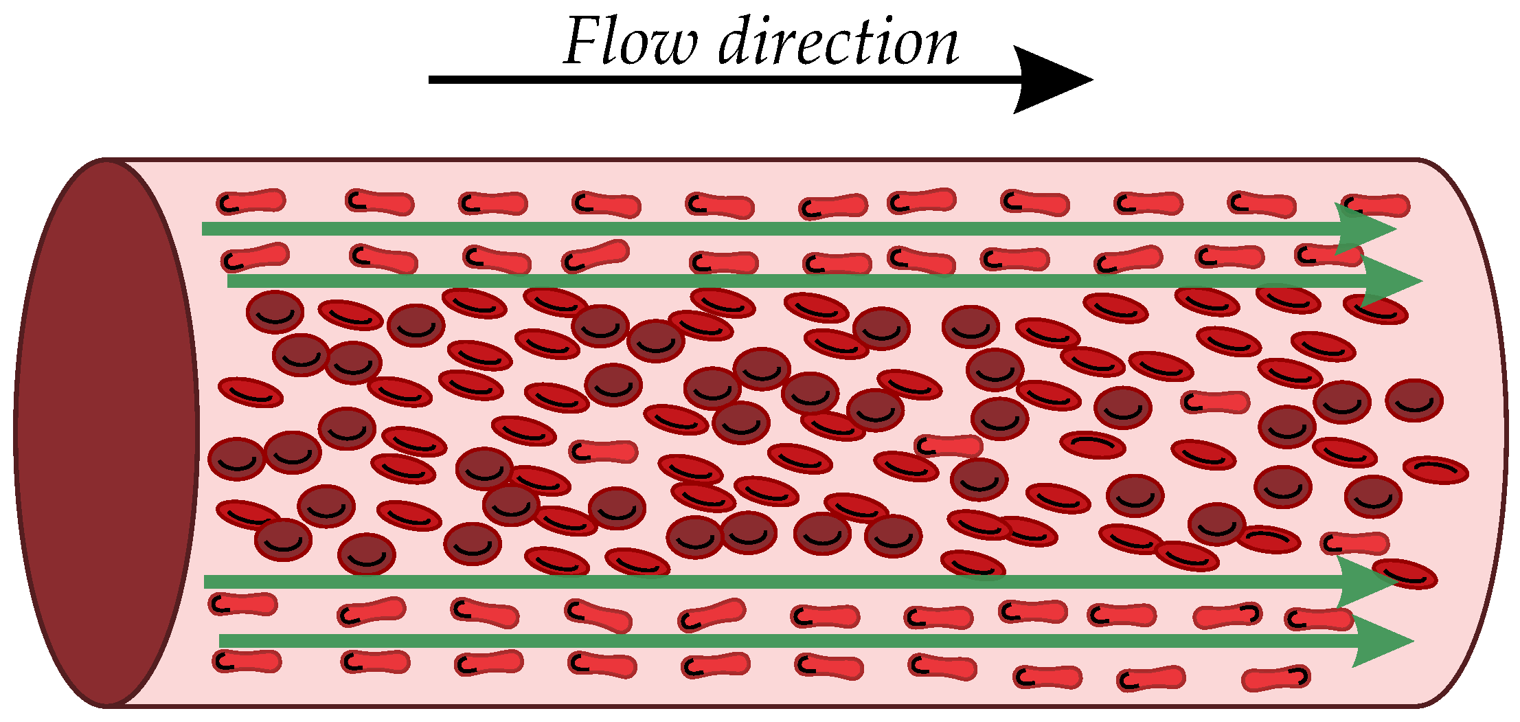 Bioengineering 11 00147 g001