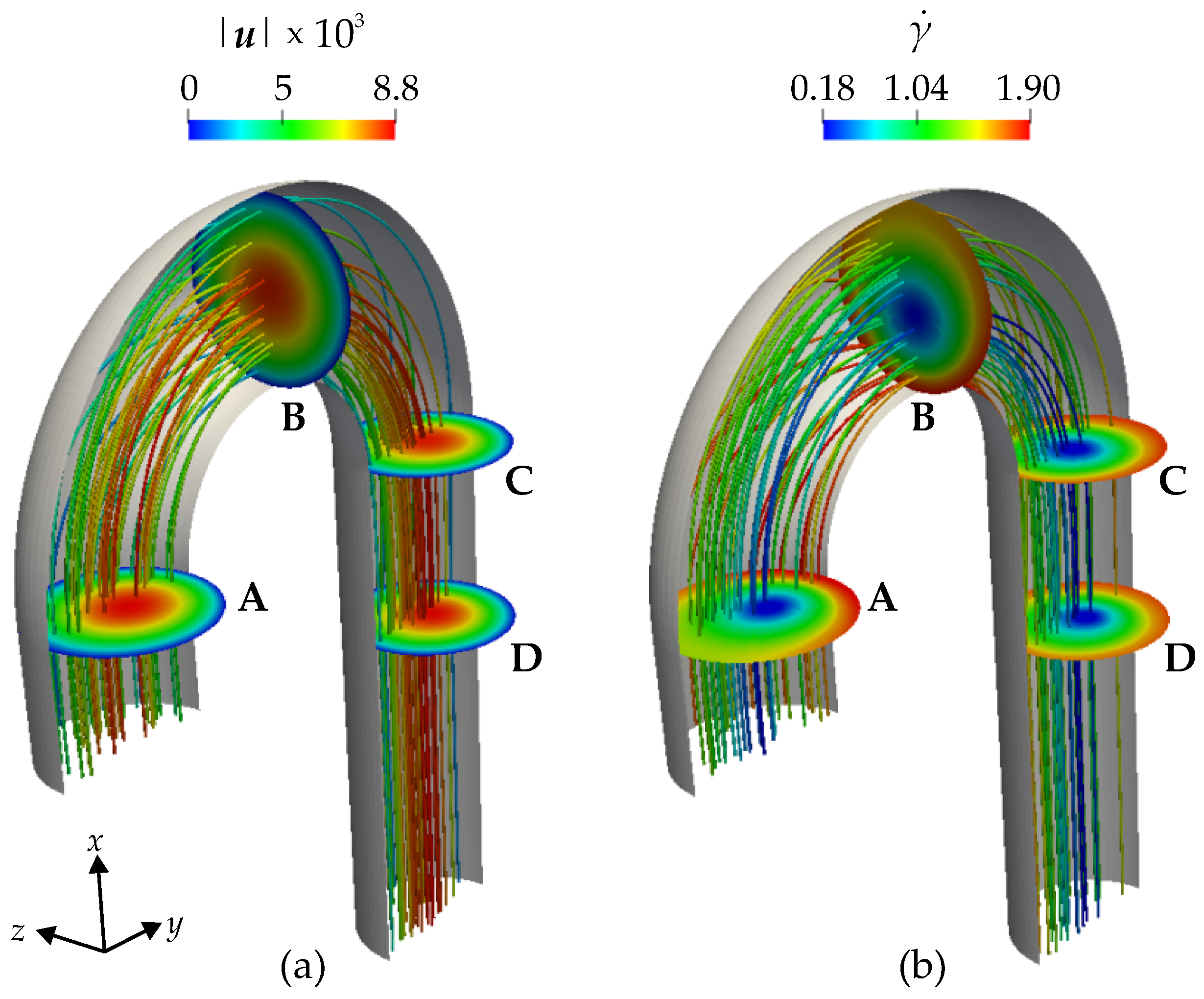Bioengineering 11 00147 g008