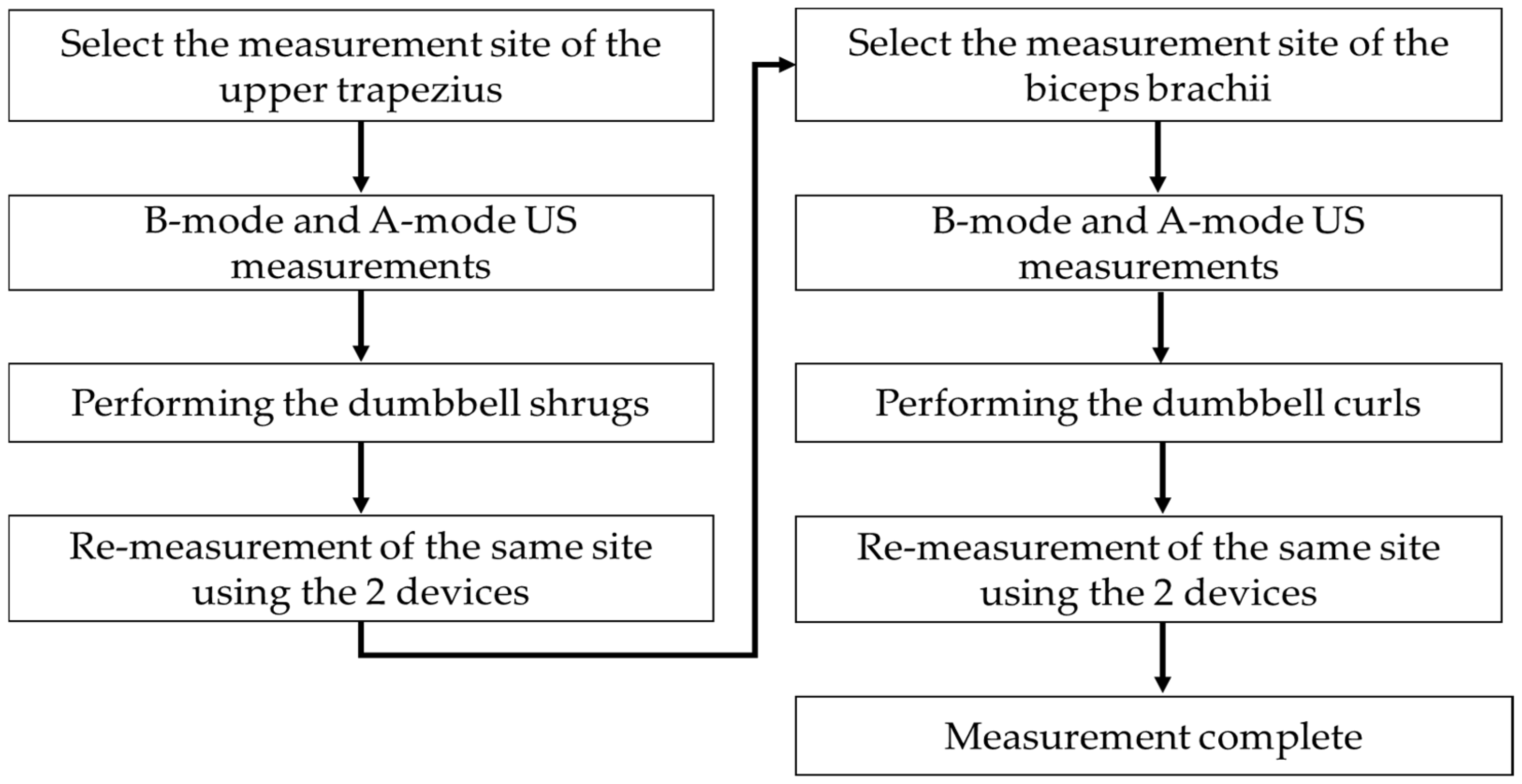 Bioengineering 11 00149 g001