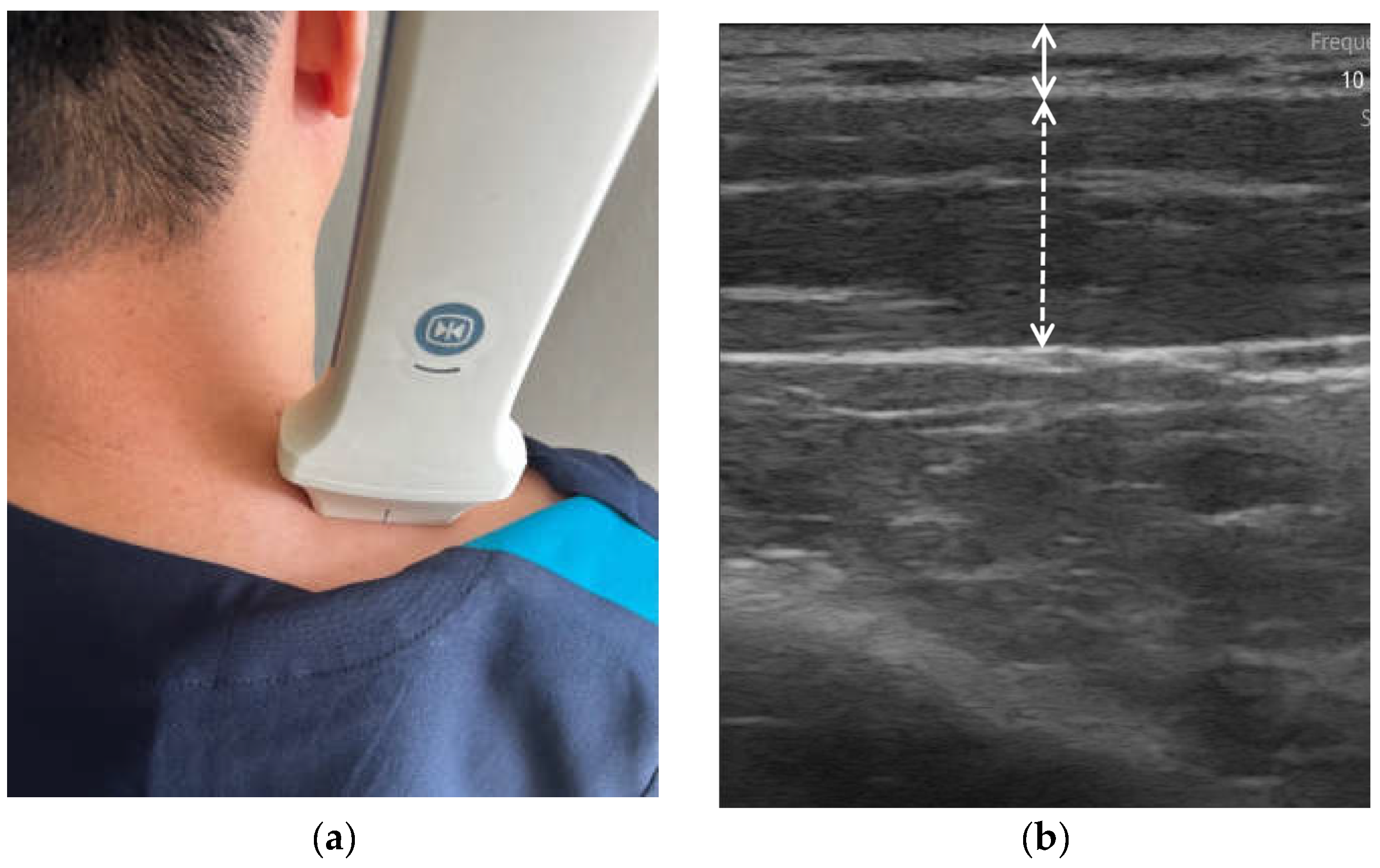 Bioengineering 11 00149 g002