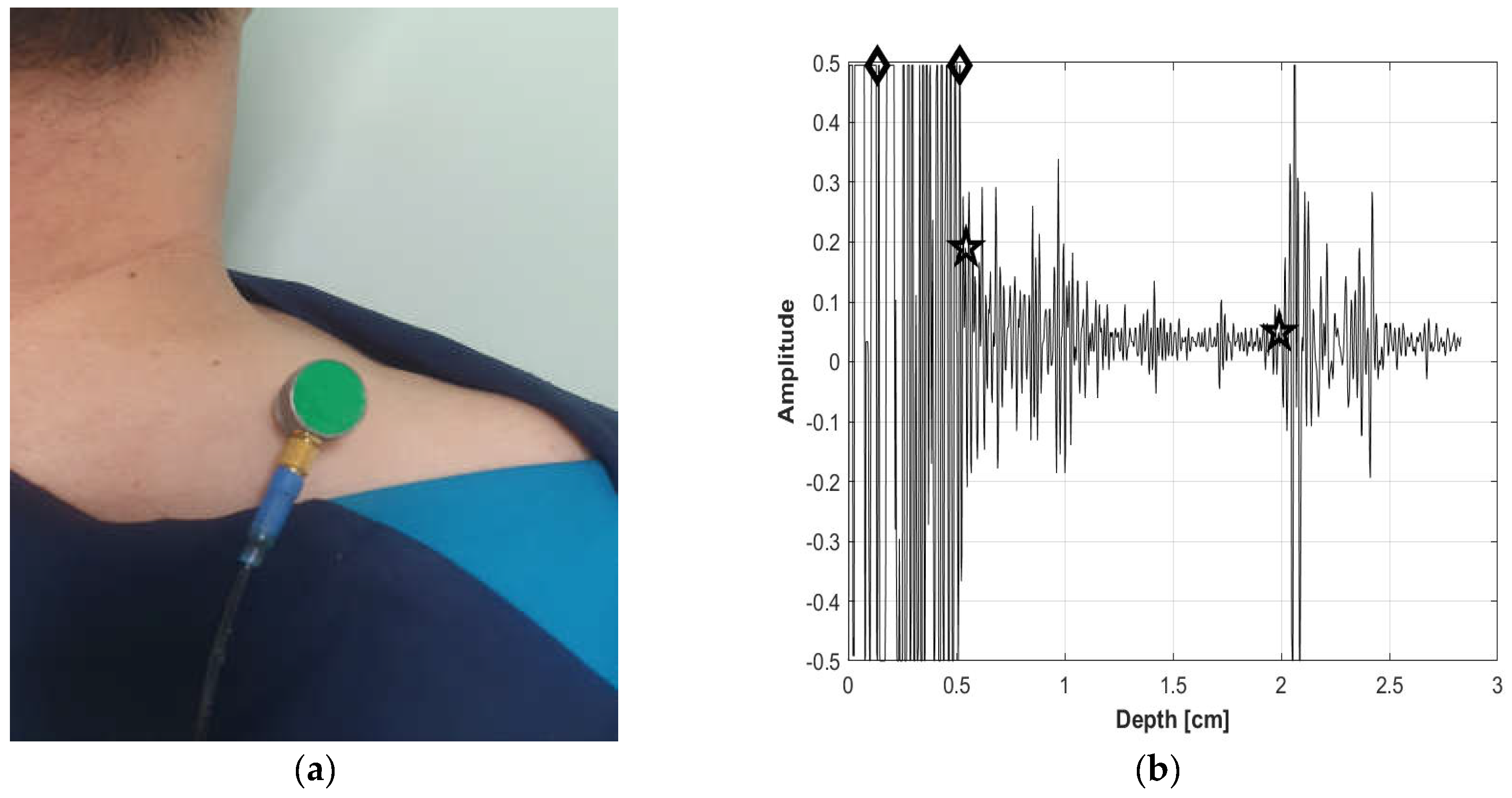 Bioengineering 11 00149 g003