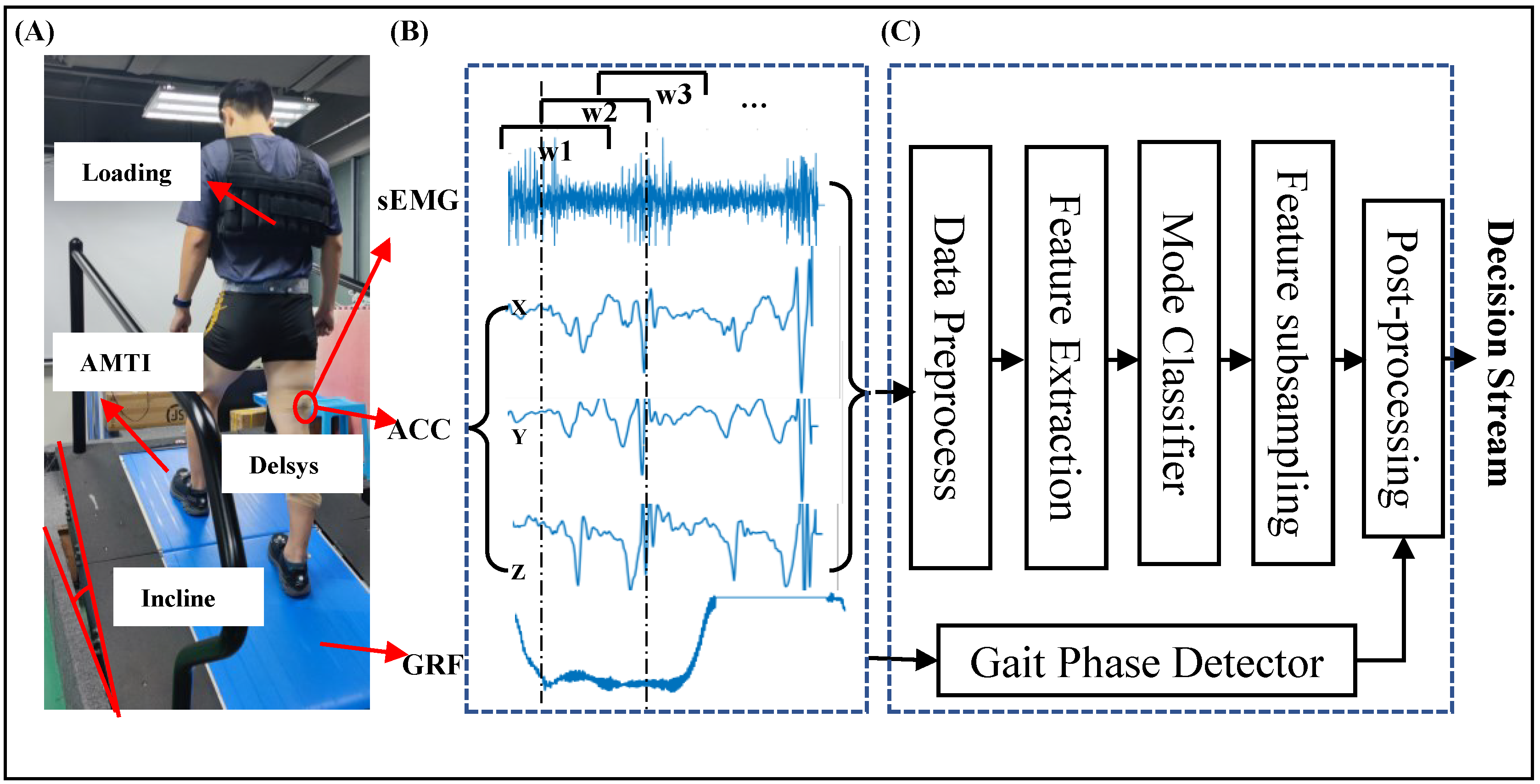 Bioengineering 11 00150 g001
