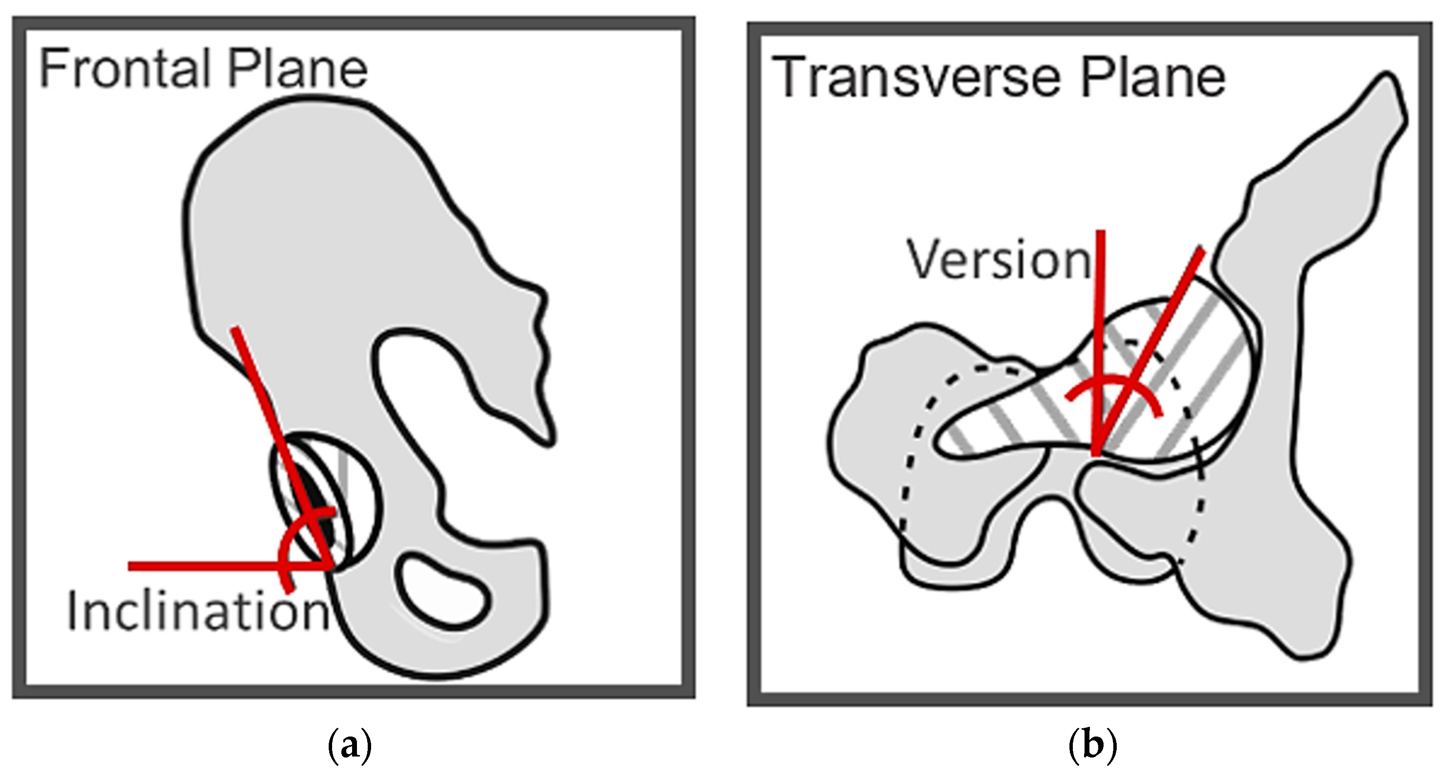 Bioengineering 11 00151 g001