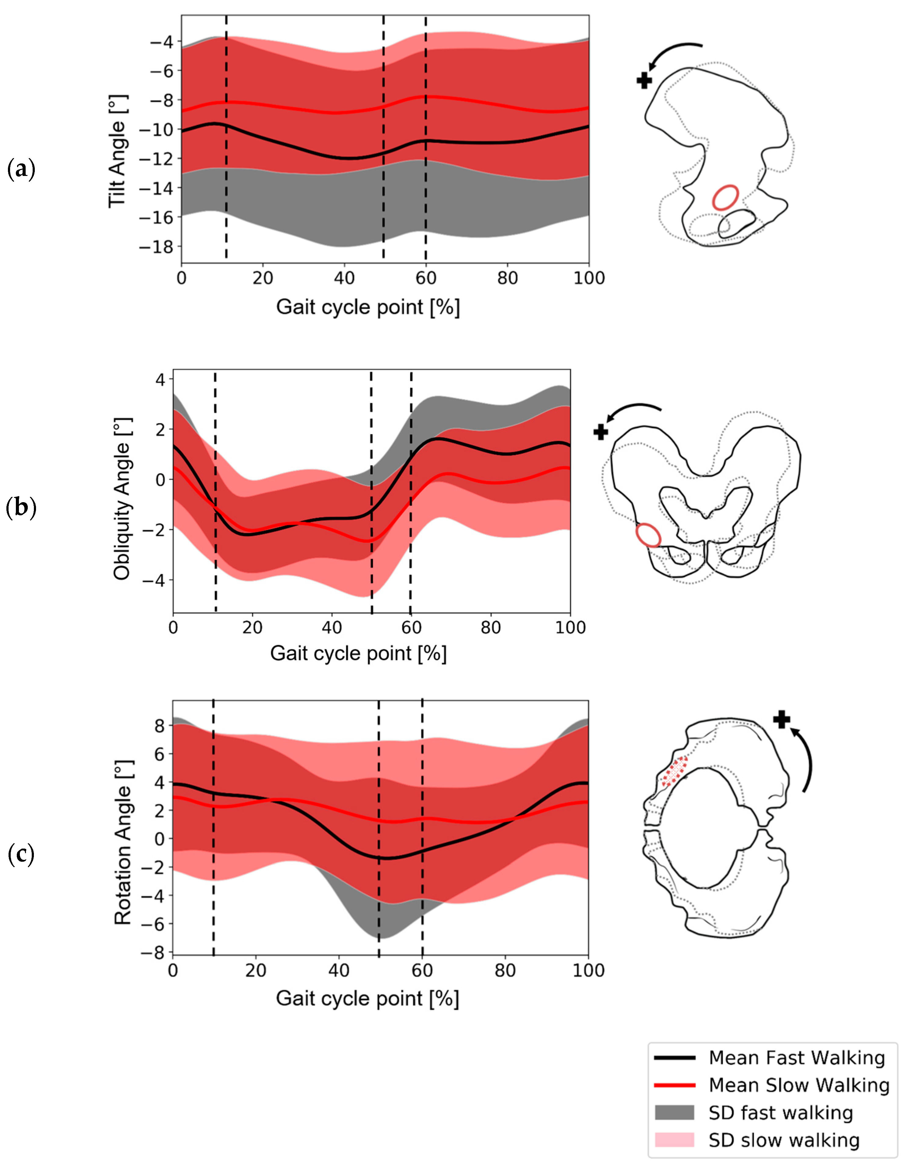 Bioengineering 11 00151 g002
