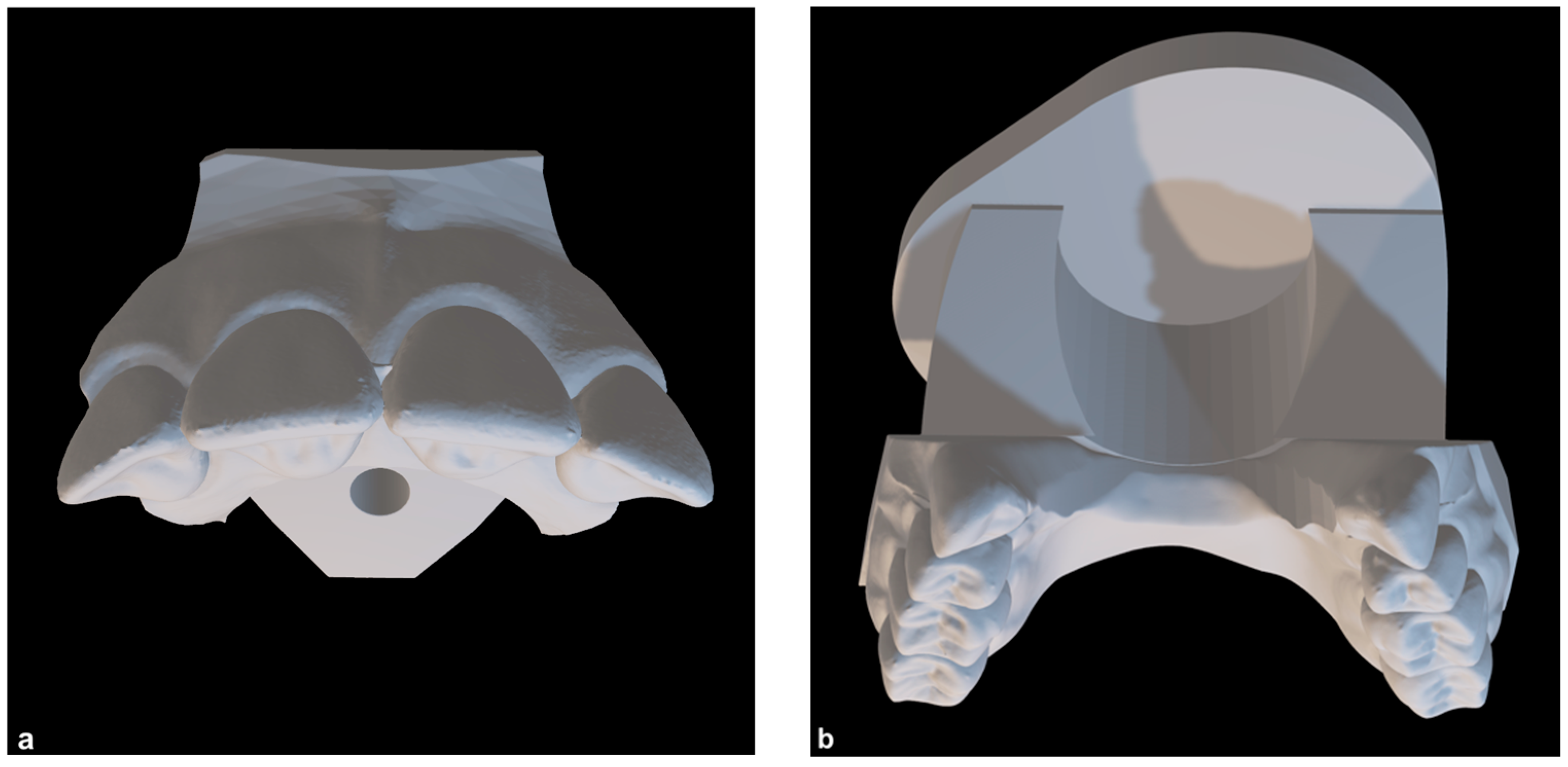 Bioengineering 11 00153 g001