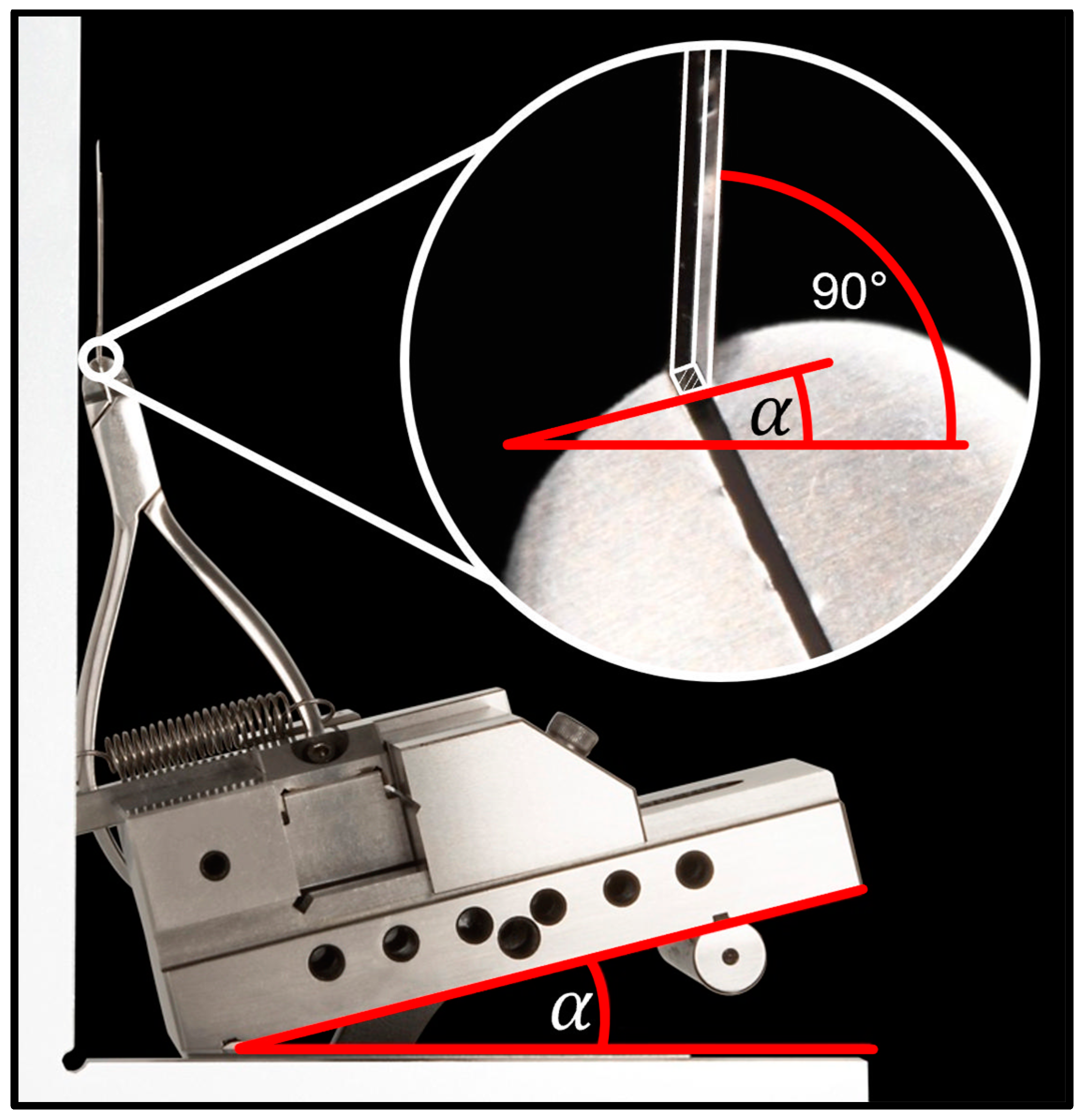 Bioengineering 11 00153 g002