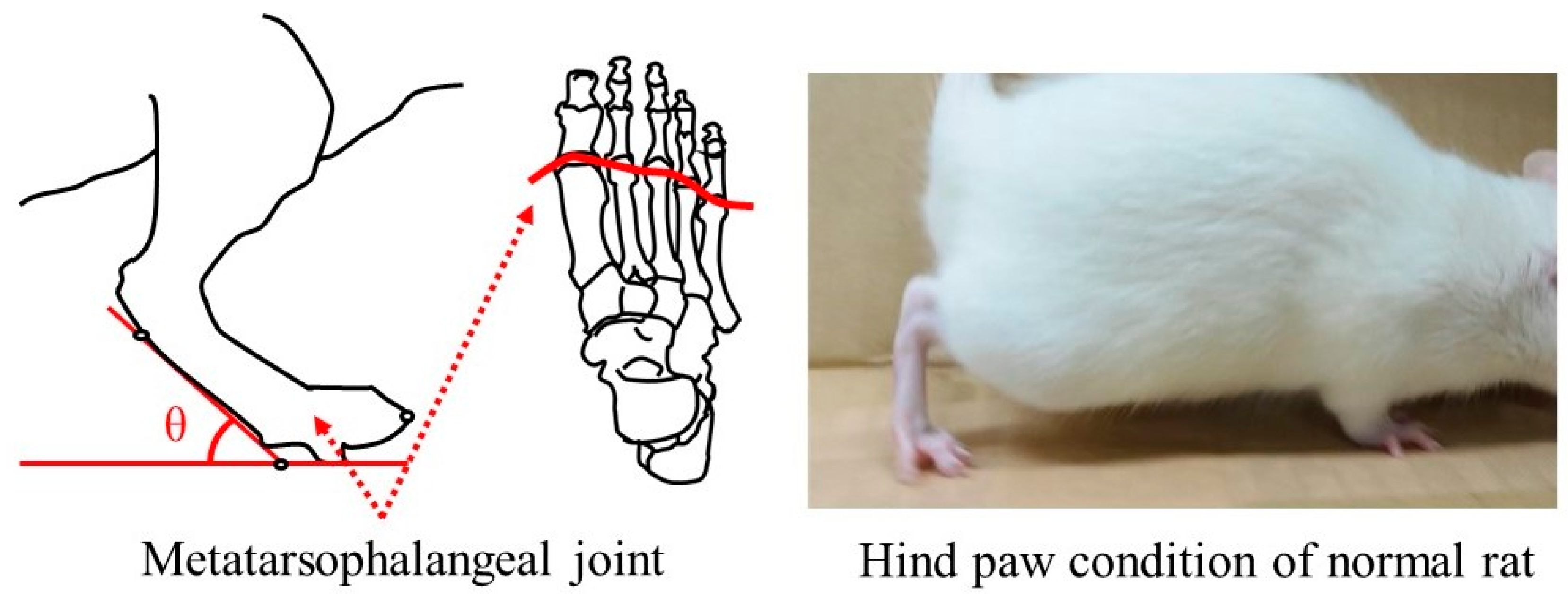 Bioengineering 11 00157 g003