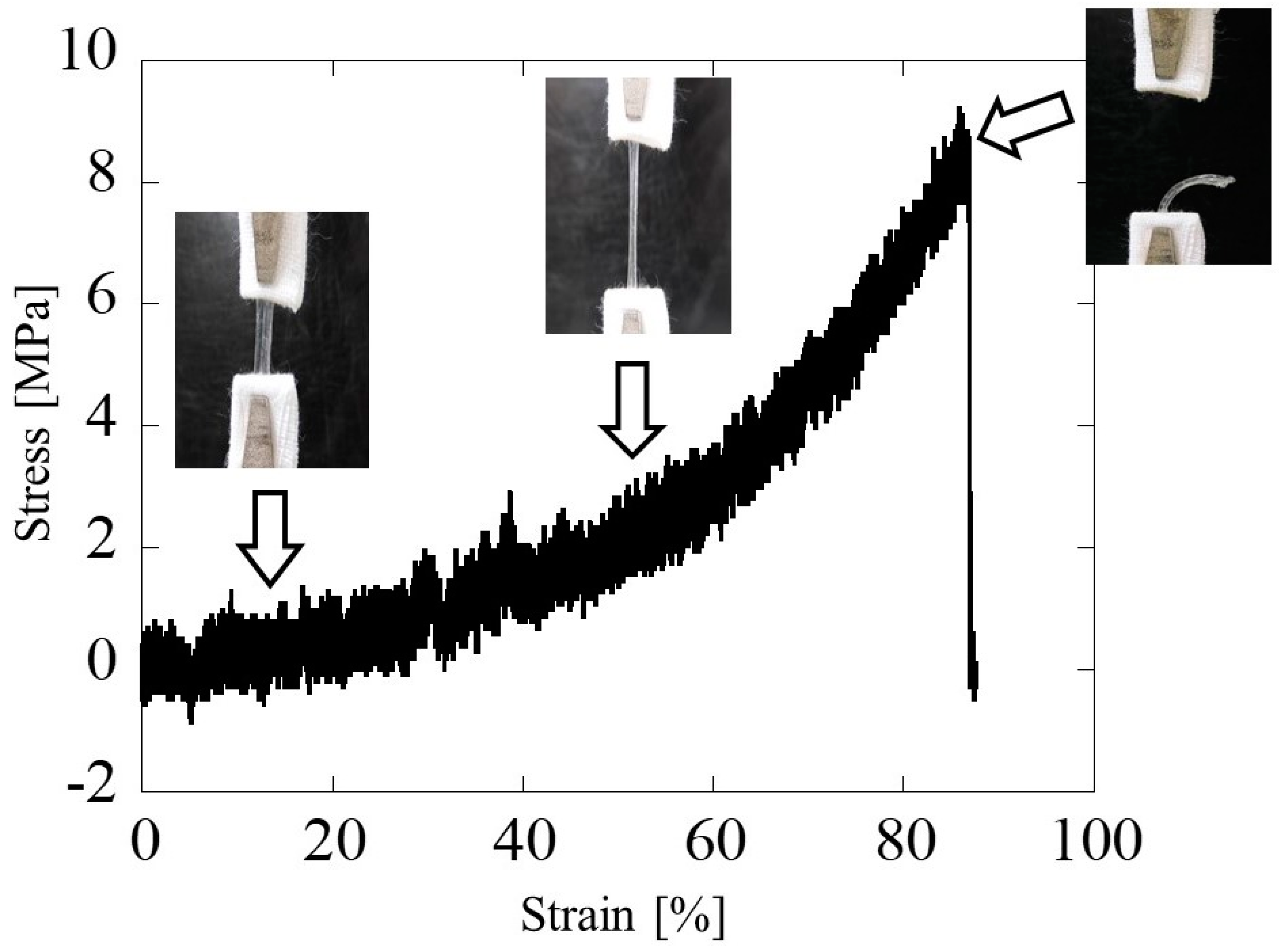Bioengineering 11 00157 g008