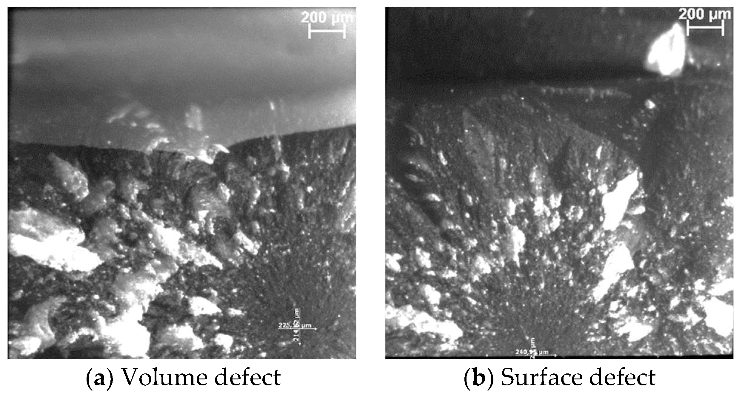 Bioengineering 11 00159 g012