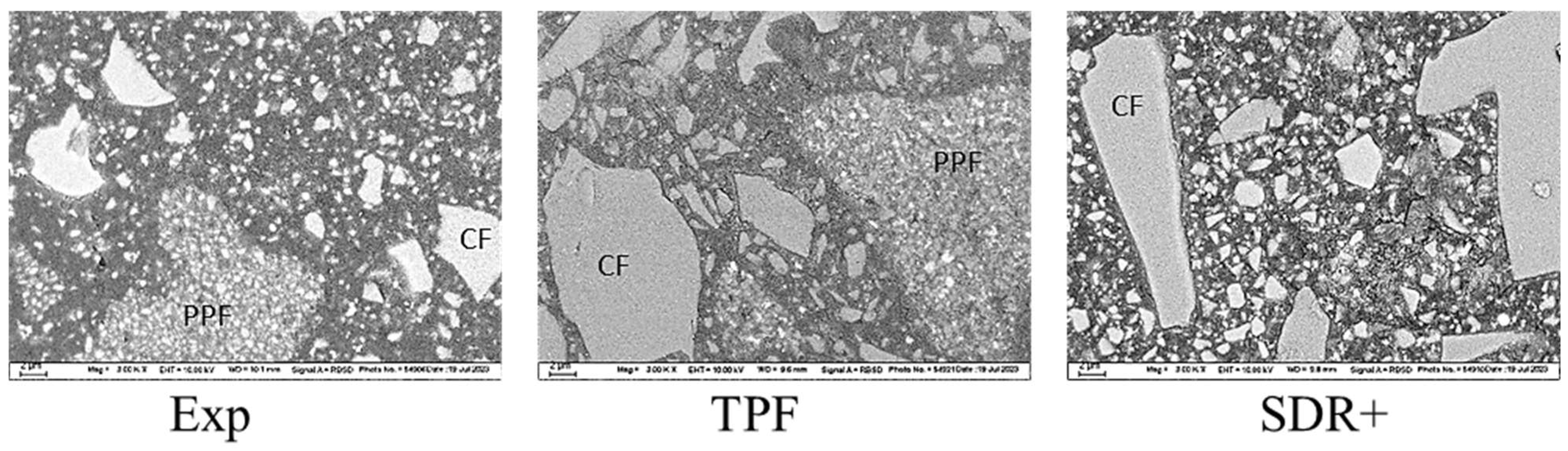Bioengineering 11 00159 g013