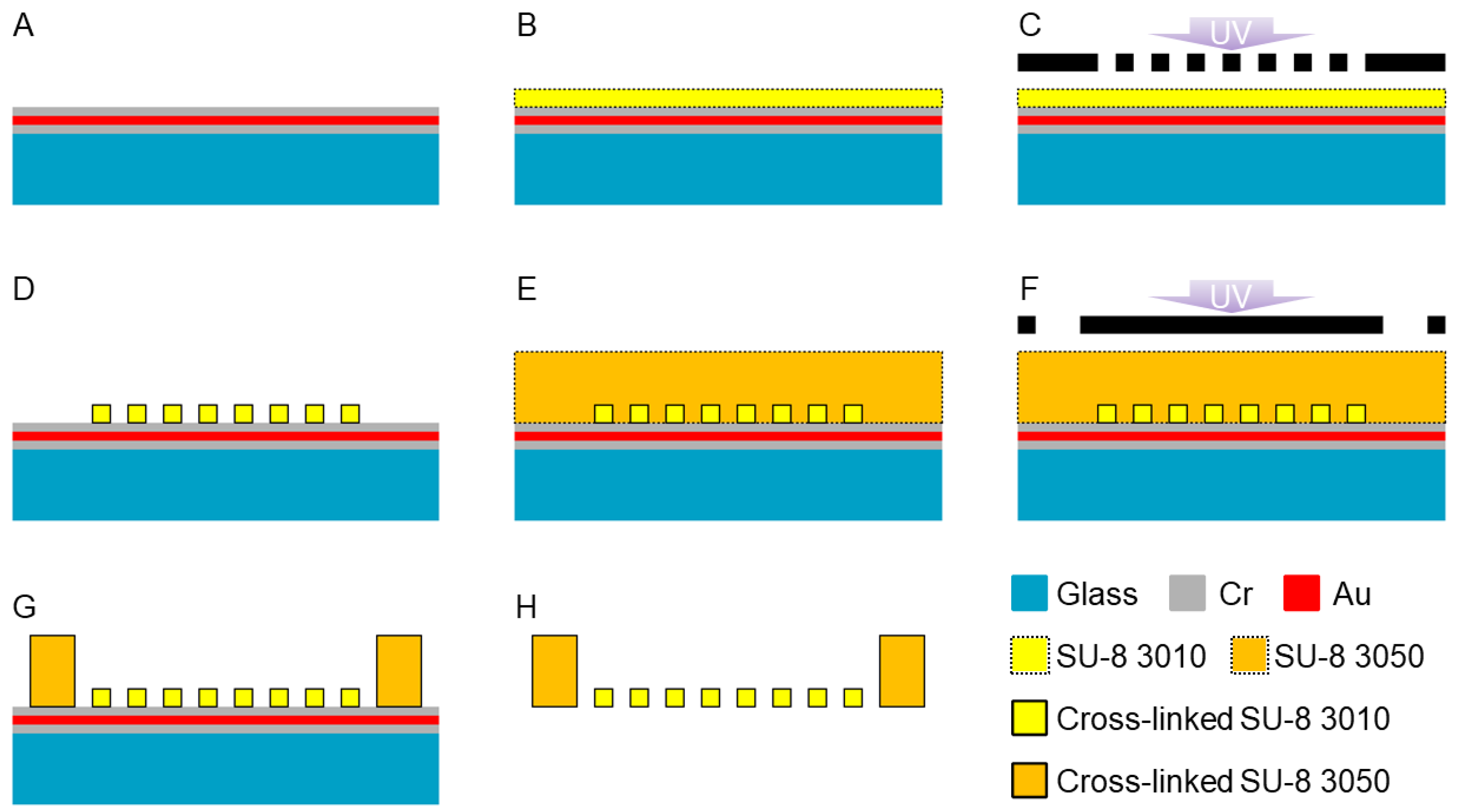 Bioengineering 11 00160 g003