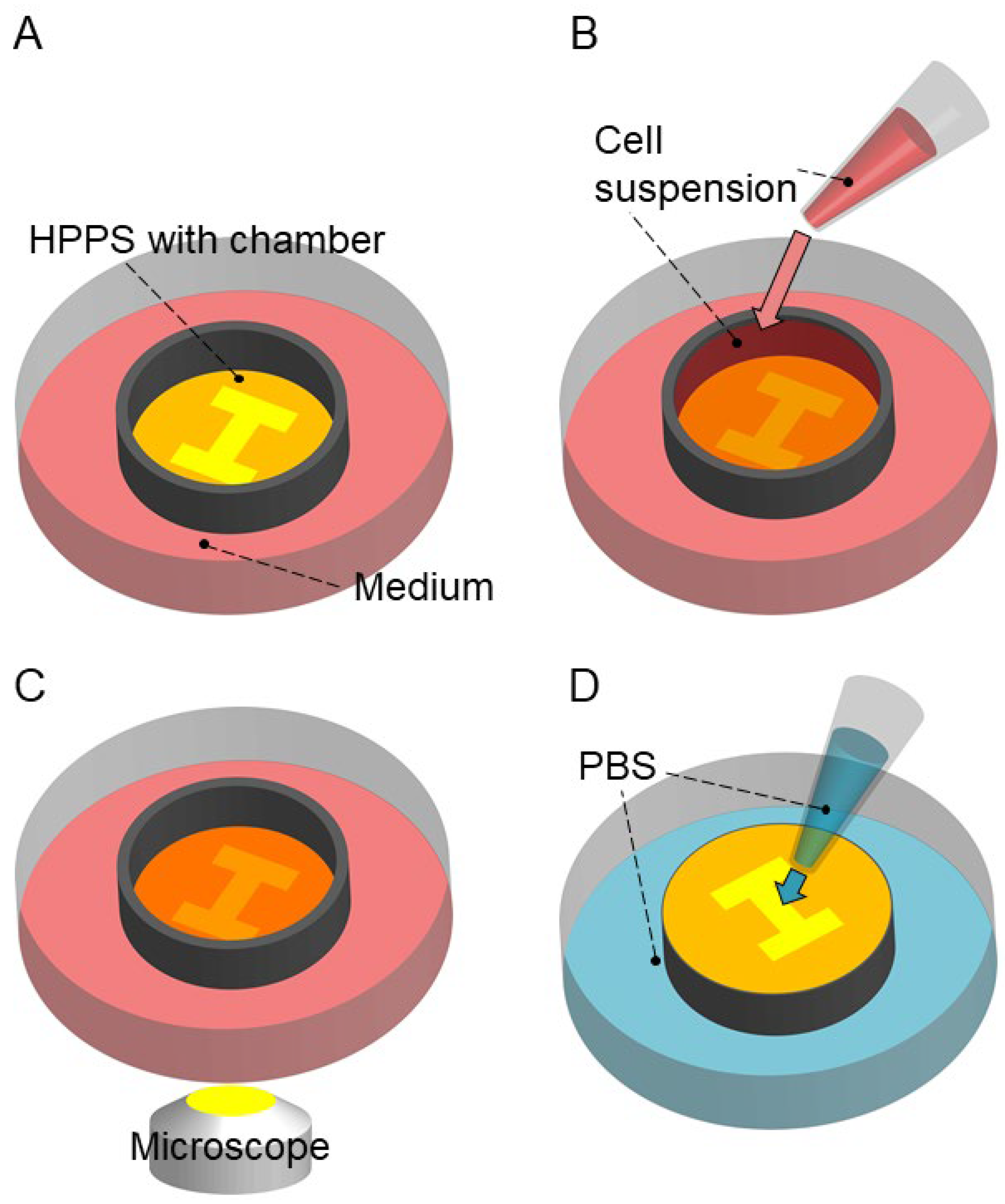 Bioengineering 11 00160 g004