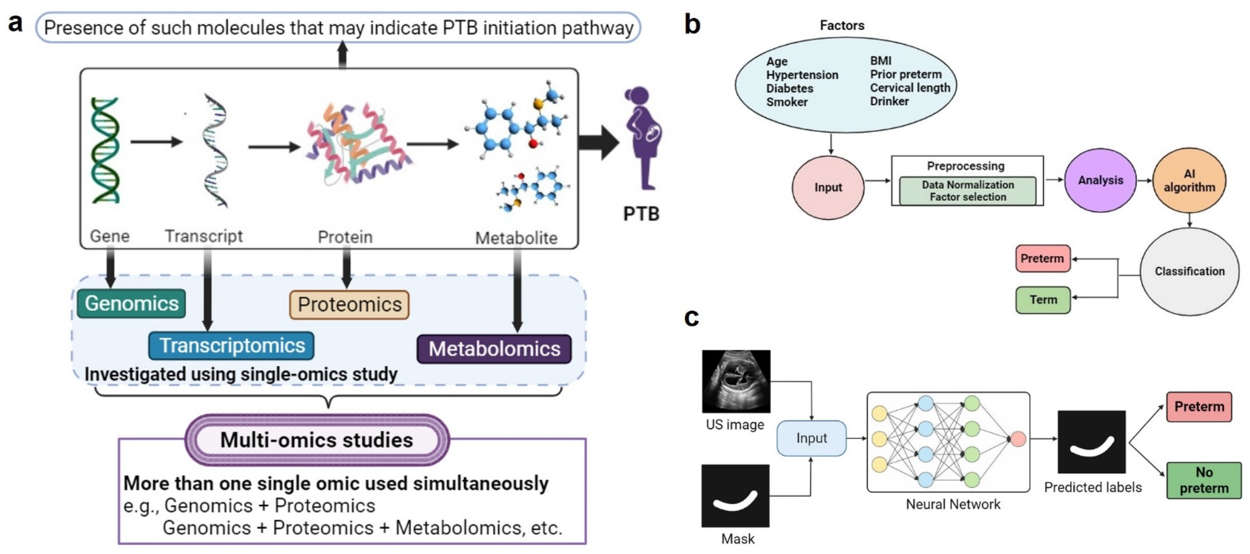 Bioengineering 11 00161 g002
