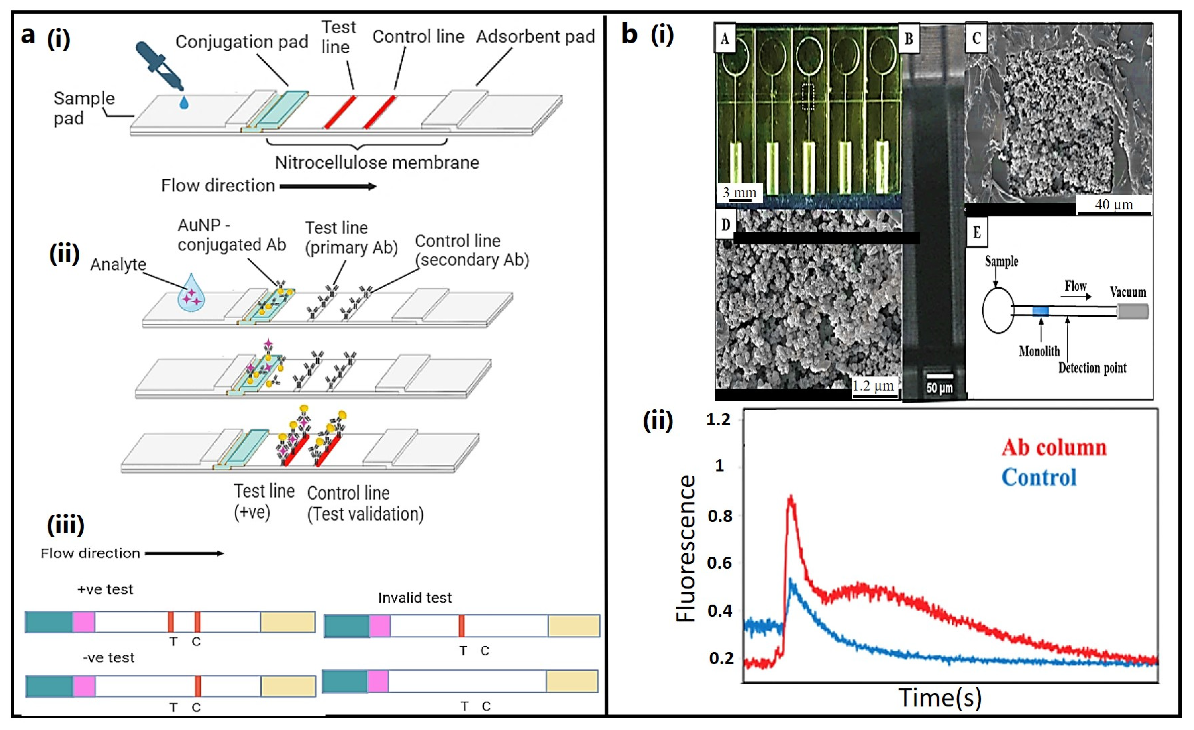 Bioengineering 11 00161 g003