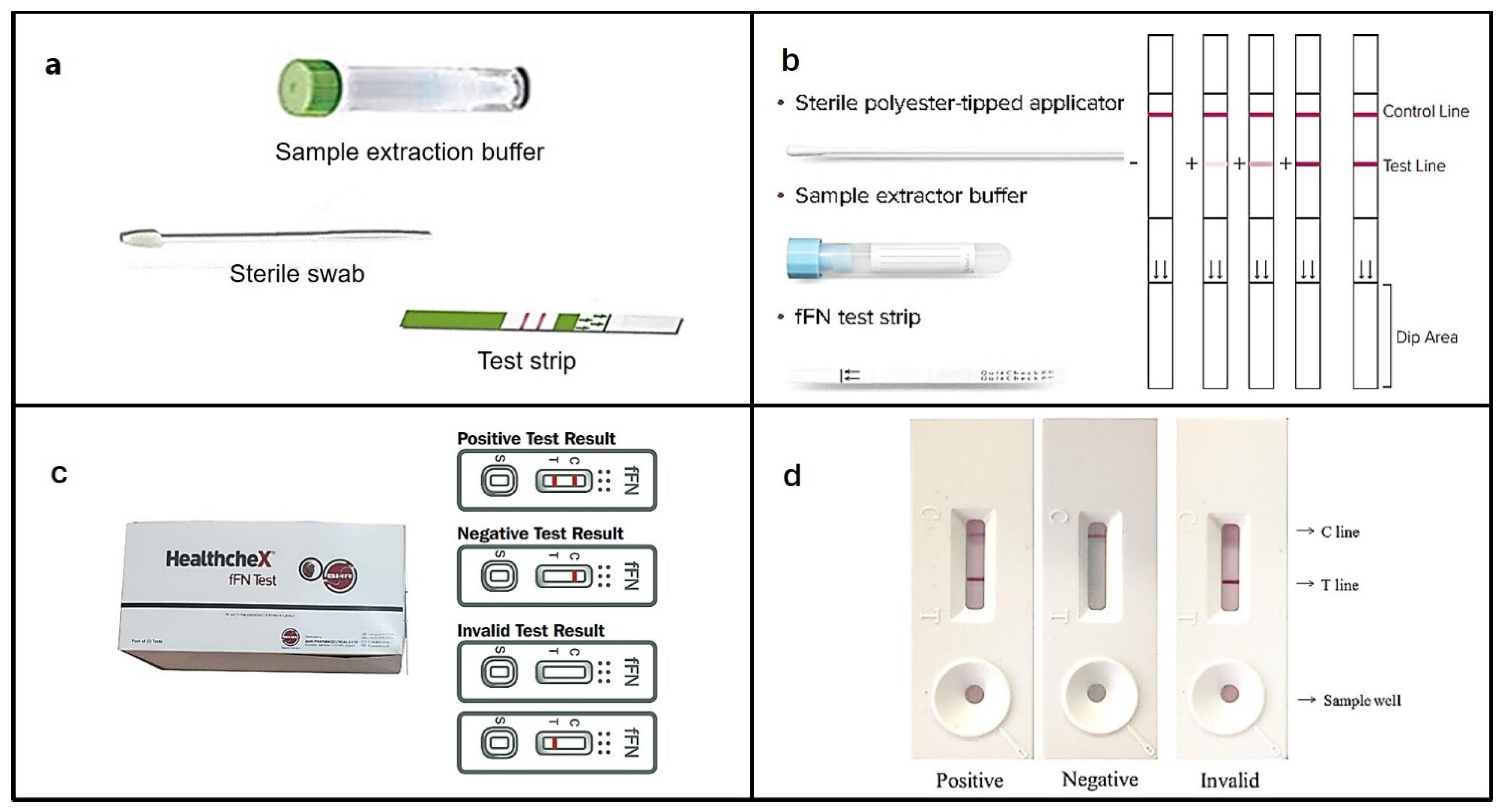 Bioengineering 11 00161 g004