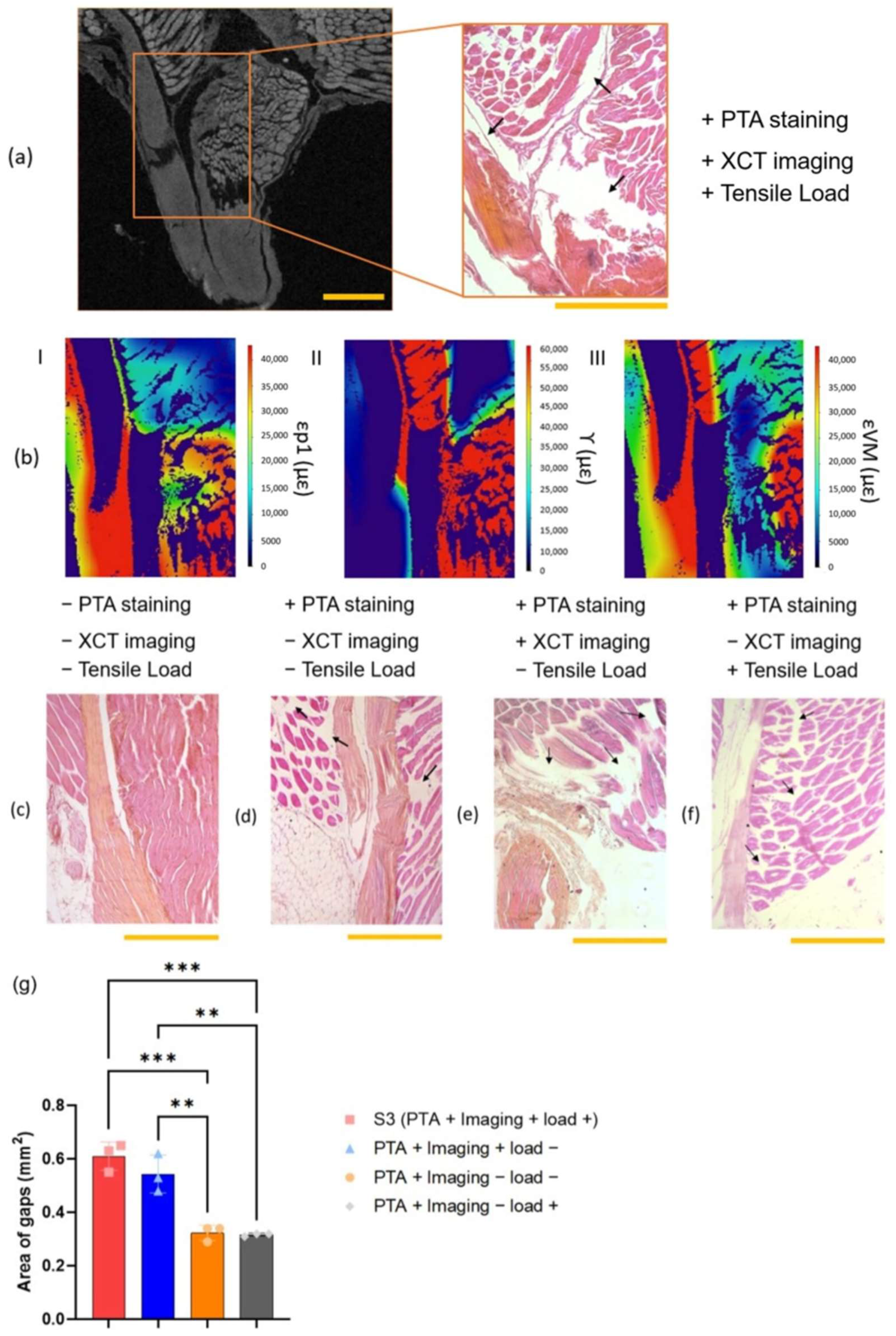 Bioengineering 11 00162 g006