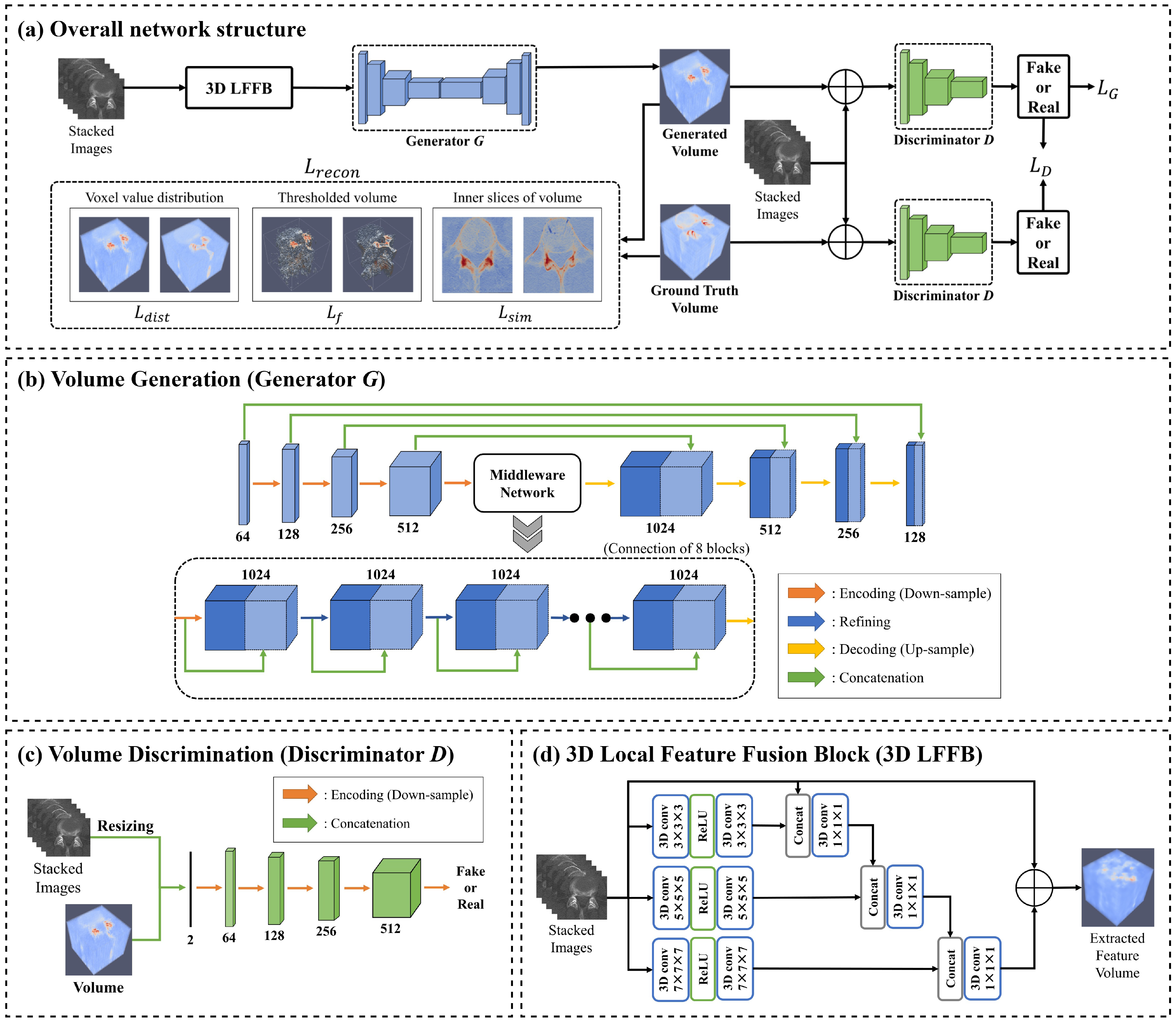 Bioengineering 11 00163 g001