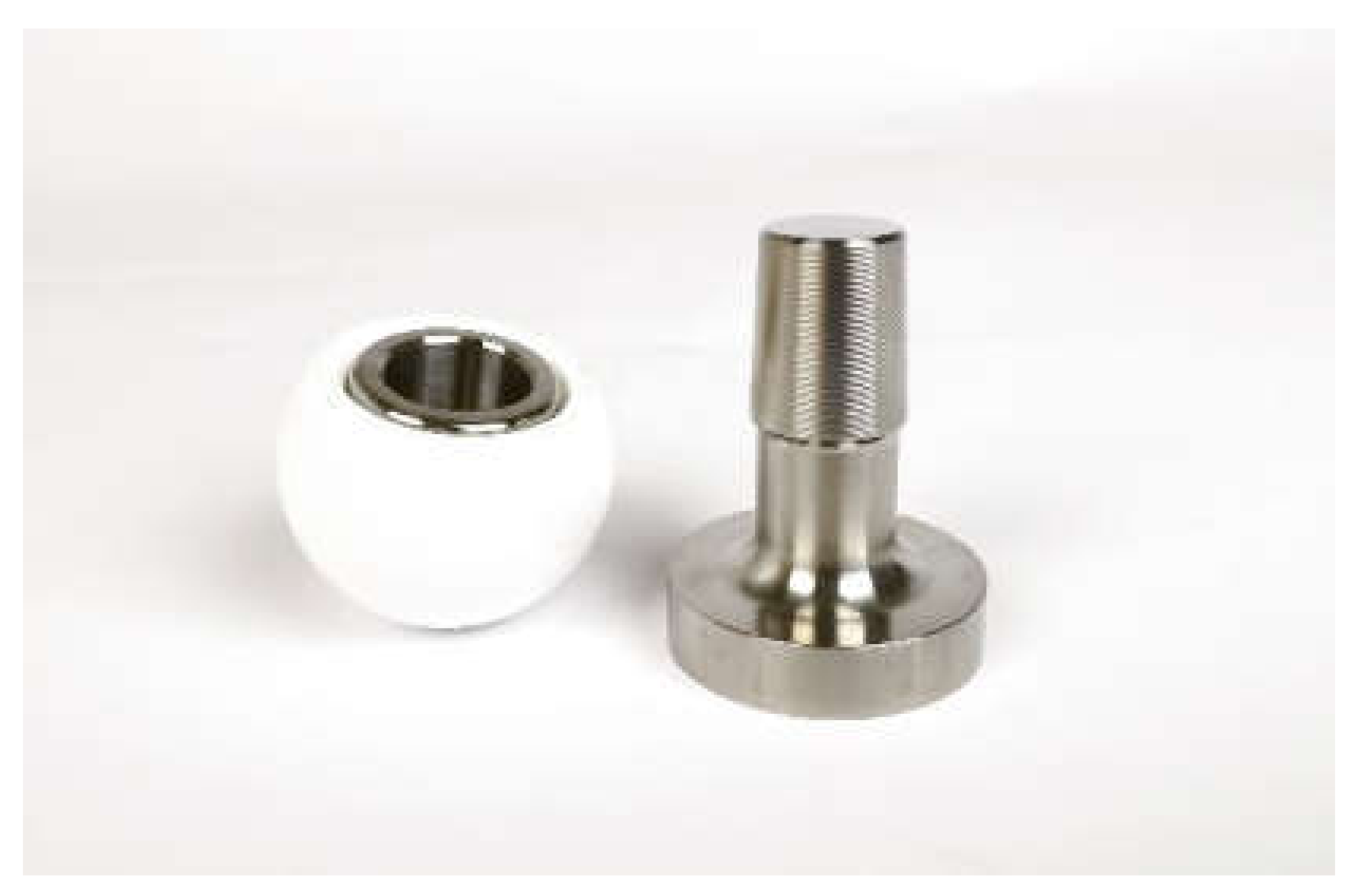 Bioengineering 11 00170 g001