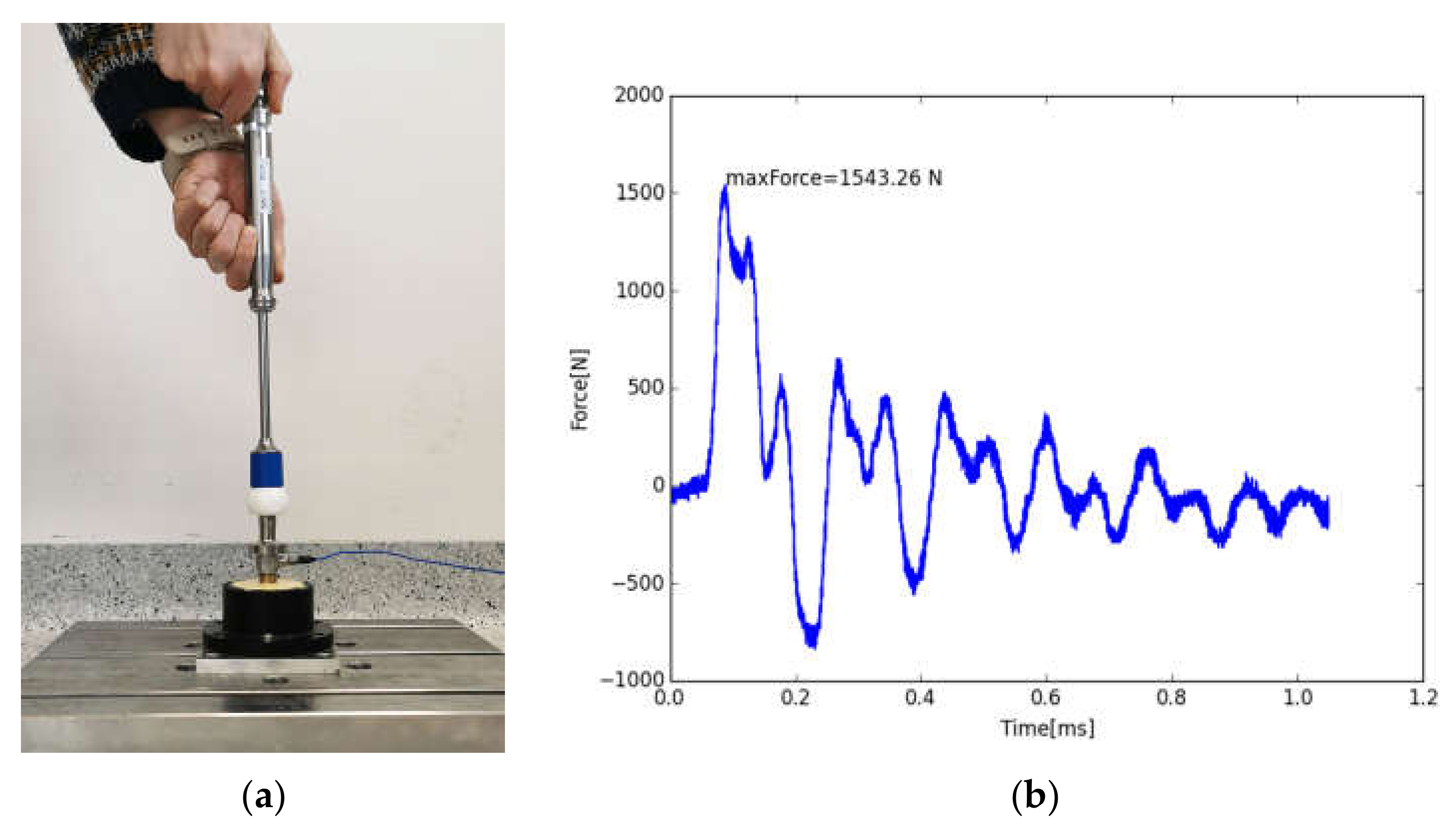 Bioengineering 11 00170 g005