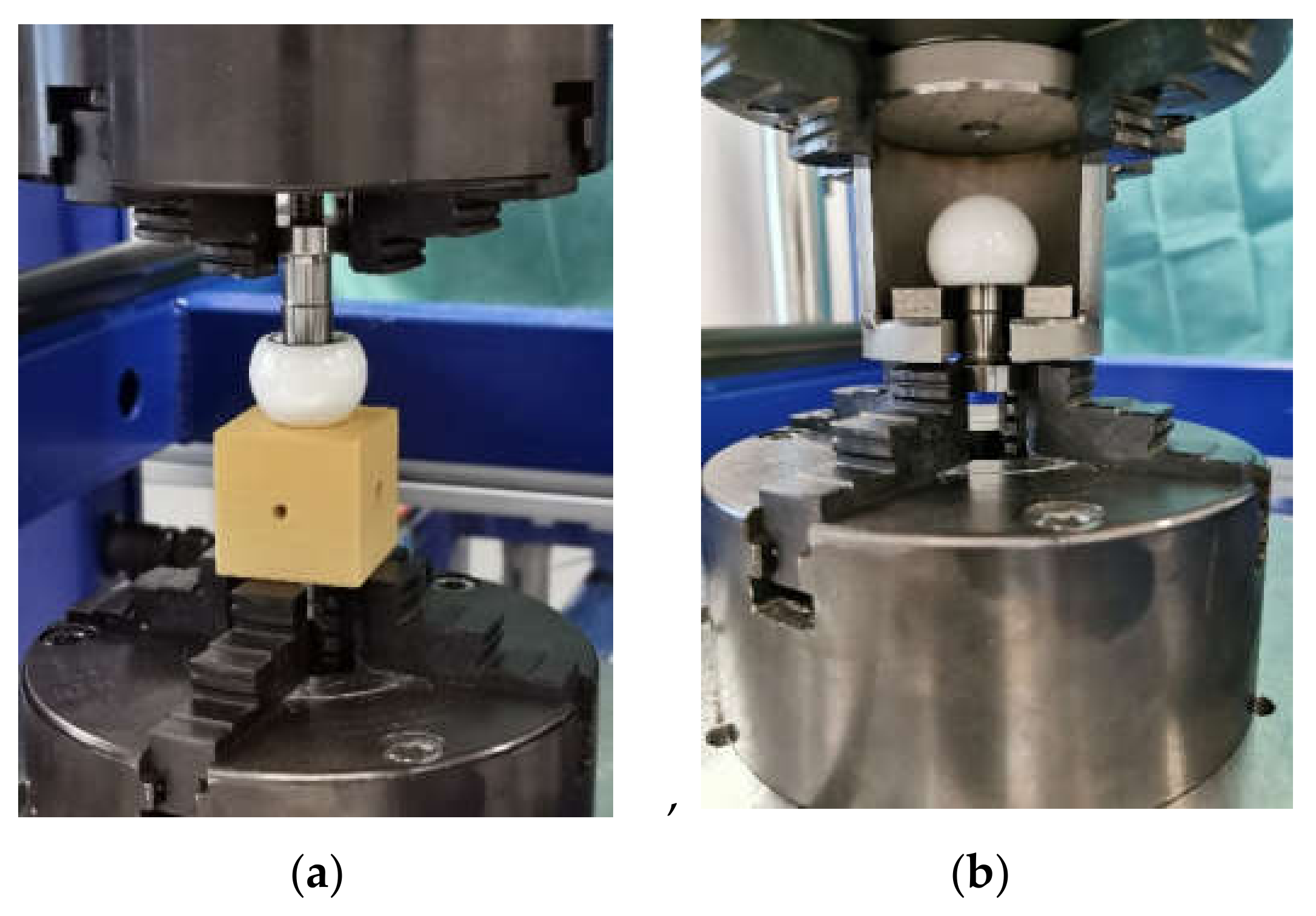 Bioengineering 11 00170 g006